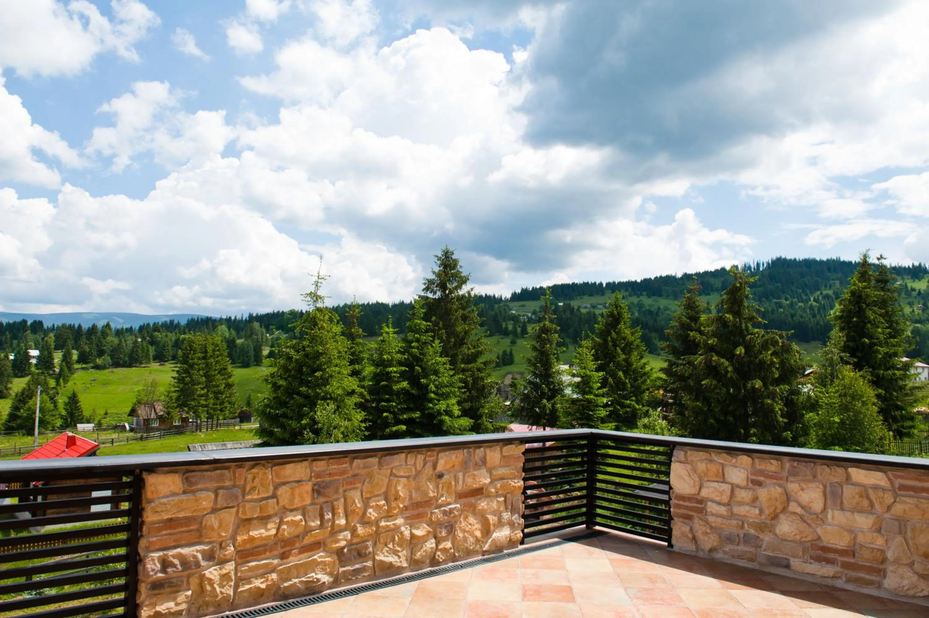 View (from property/room) in Domeniul Dornei