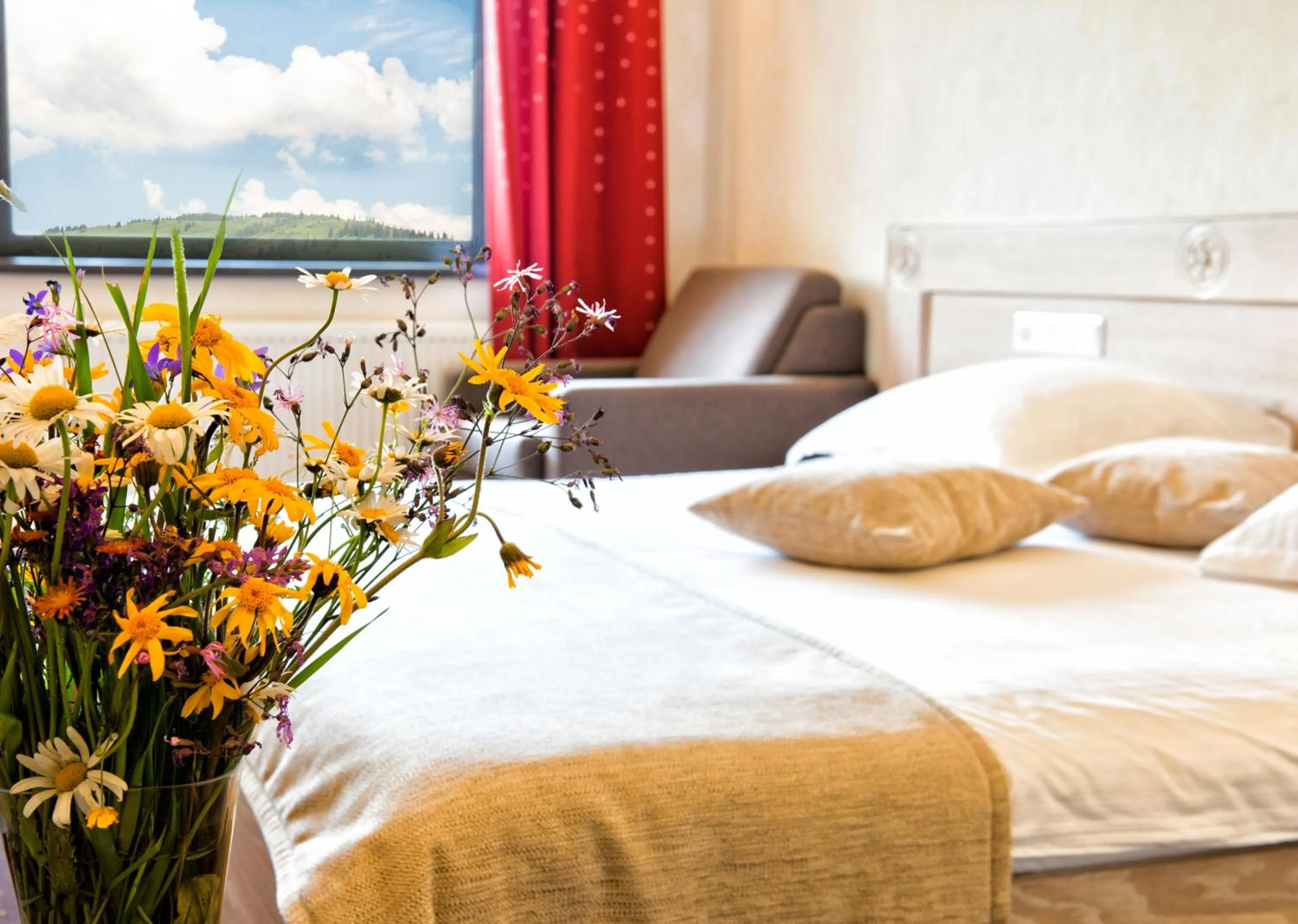 Bed in Domeniul Dornei