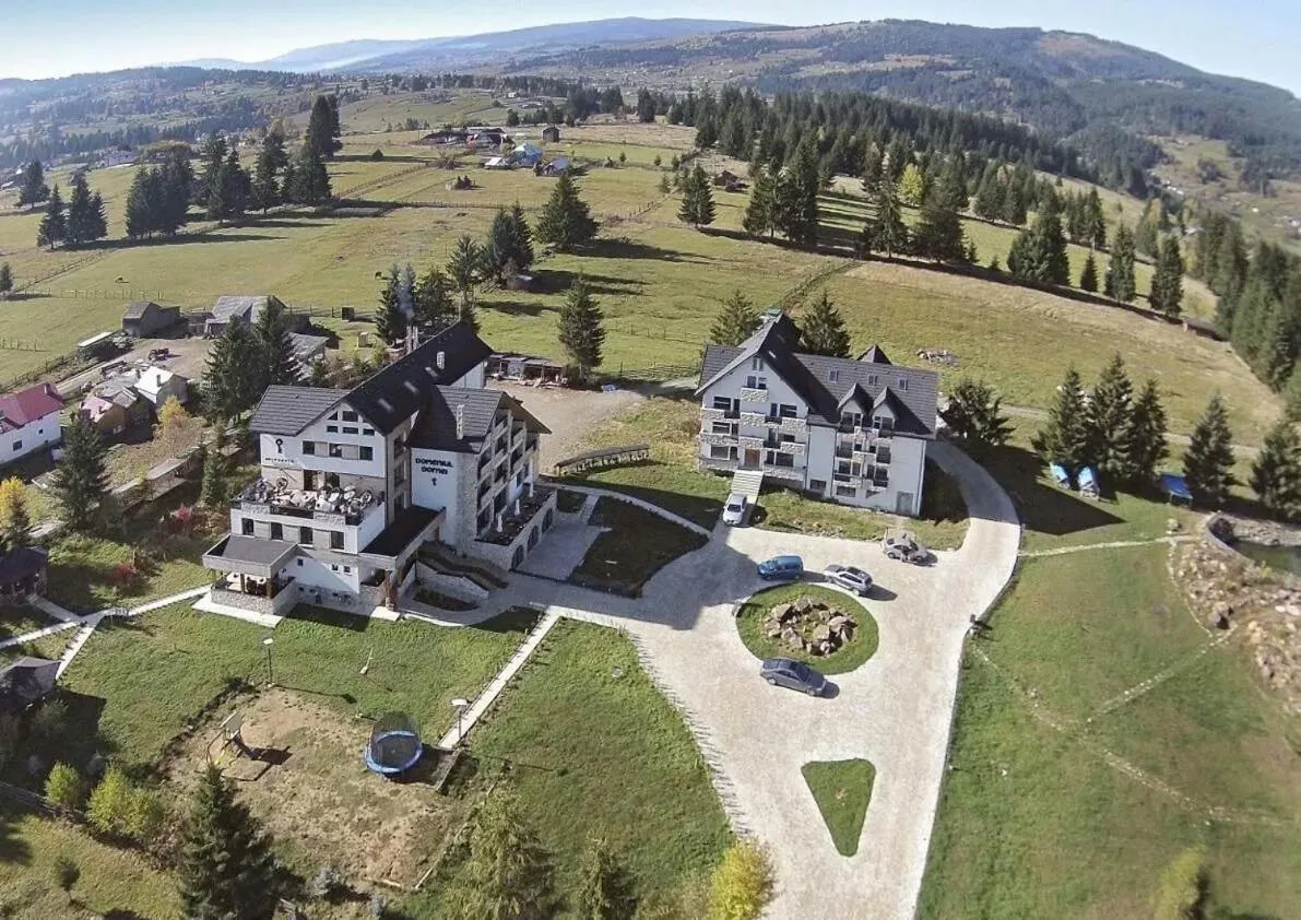 Bird's eye view in Domeniul Dornei
