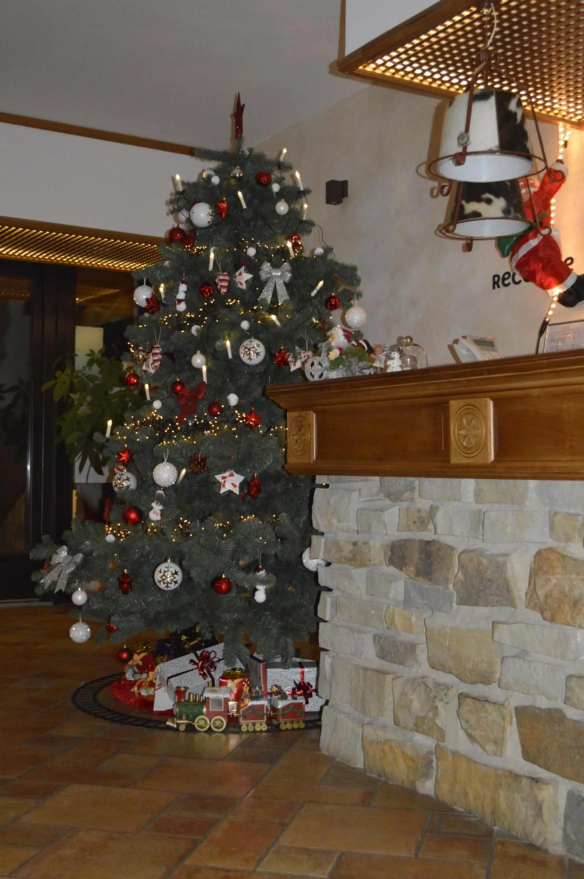 Decorative detail in Domeniul Dornei