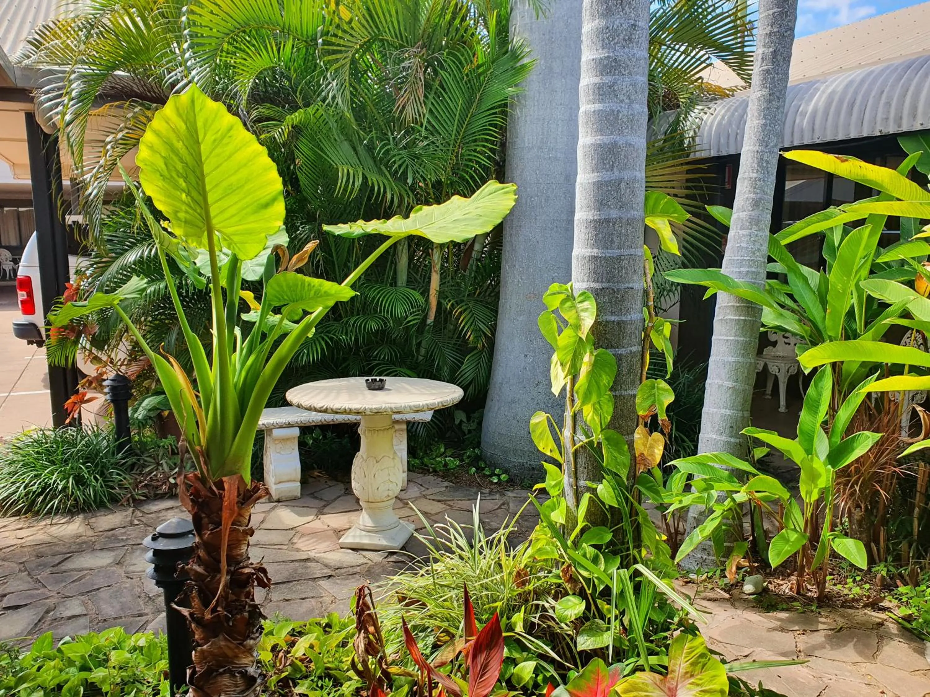 Garden in Rockhampton Palms Motor Inn