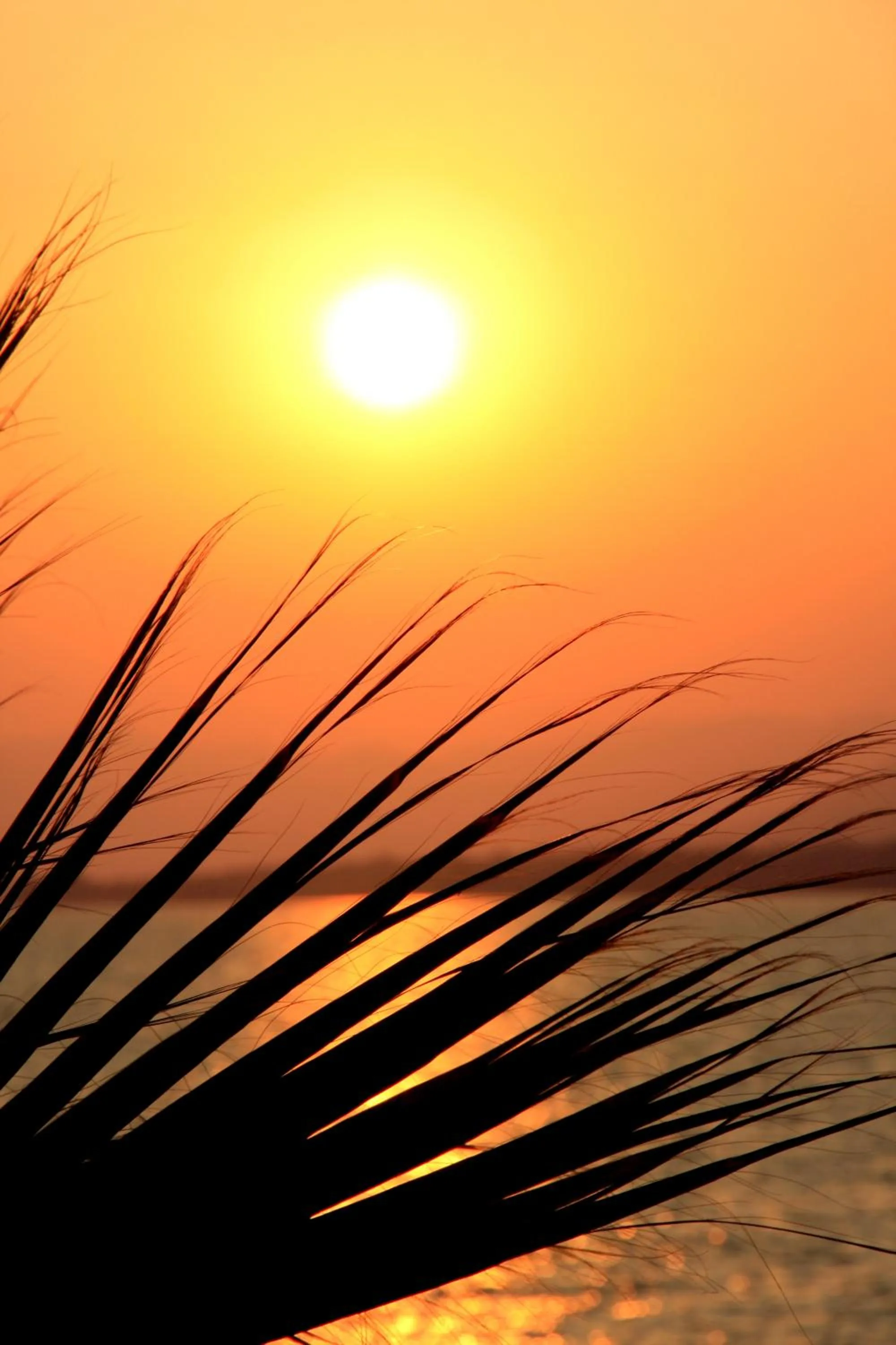 Lounge or bar in Mendos Garden Exclusive Hotel Fethiye