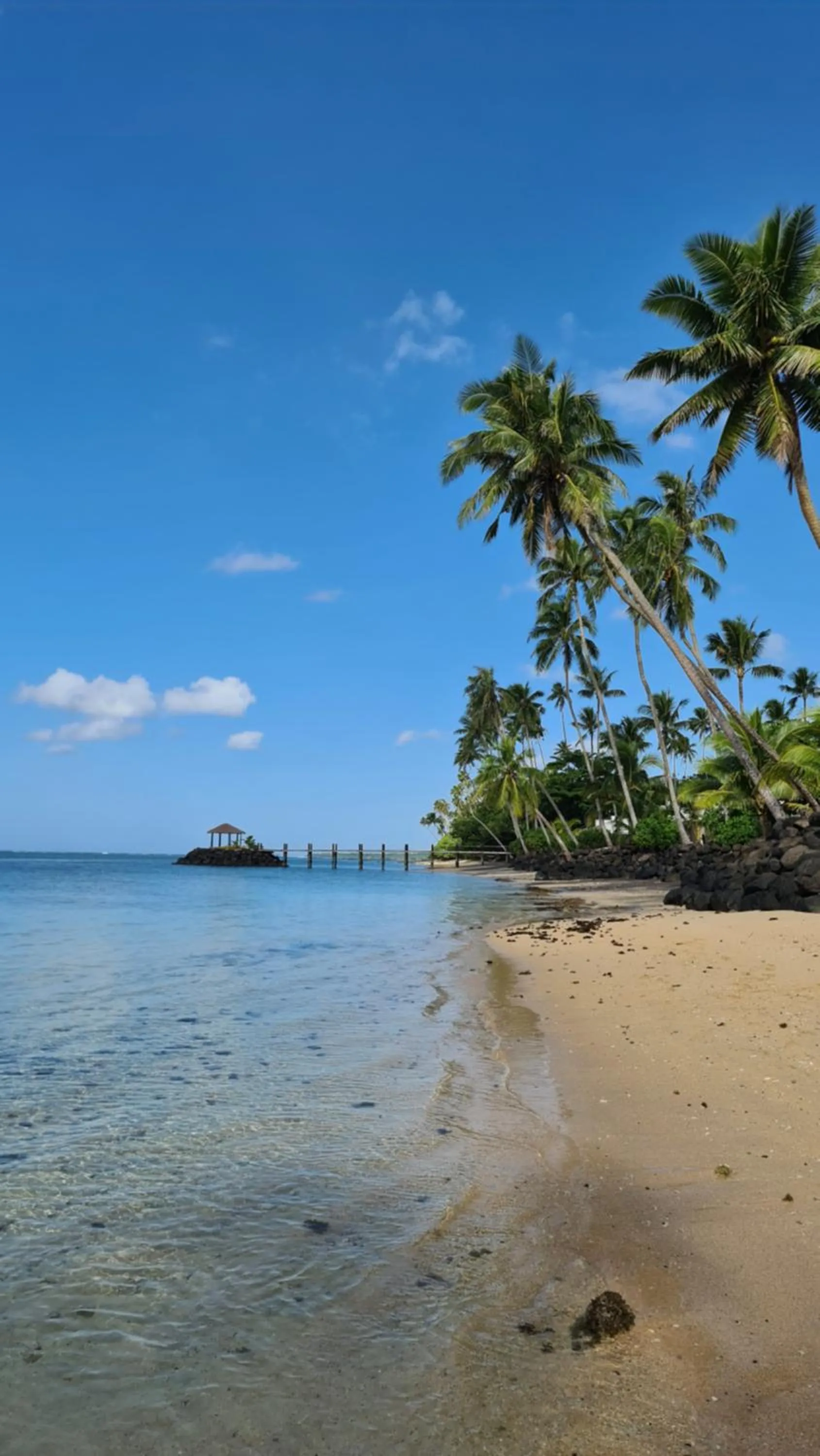 Natural landscape in Saletoga Sands Resort & Spa