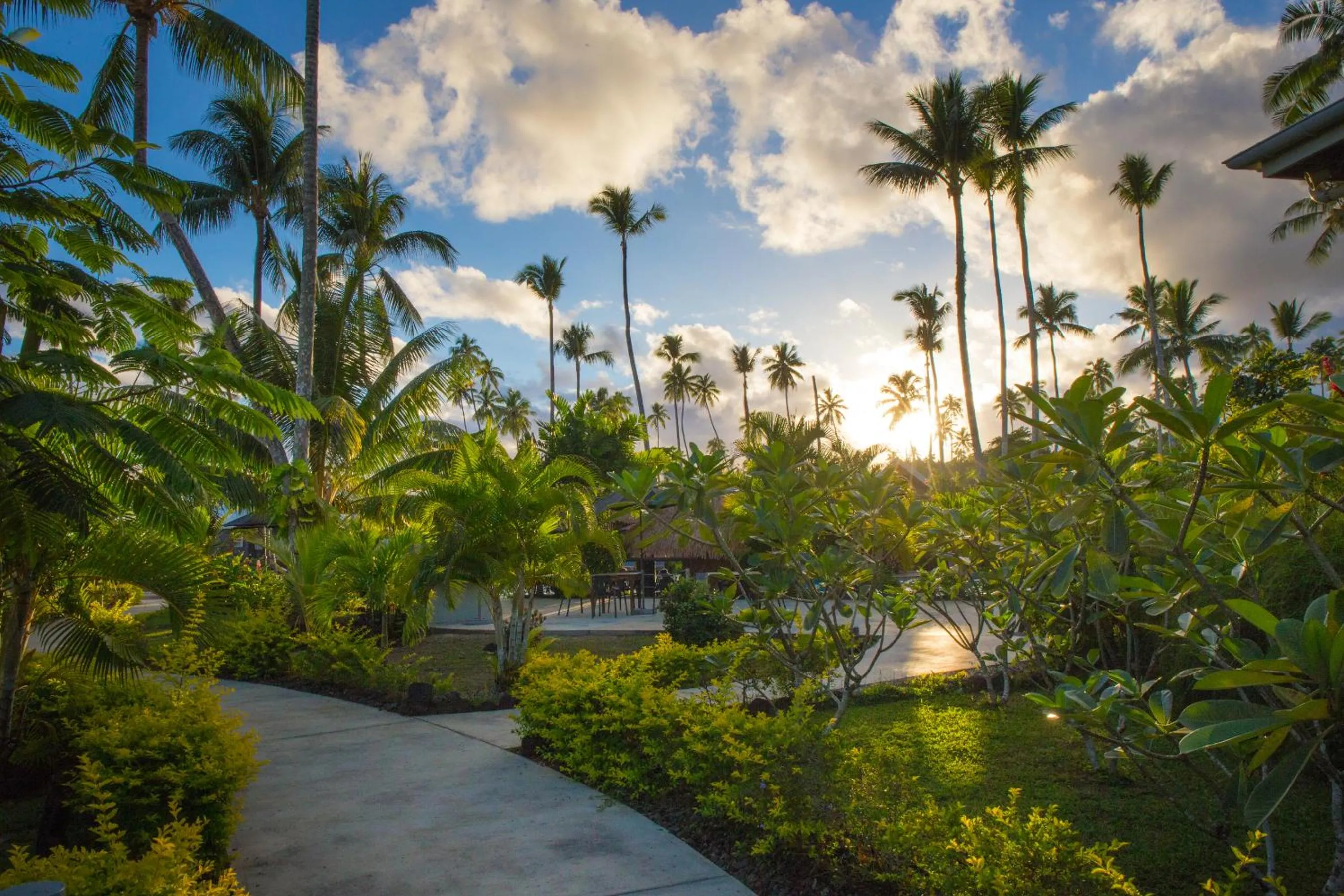 Garden in Saletoga Sands Resort & Spa