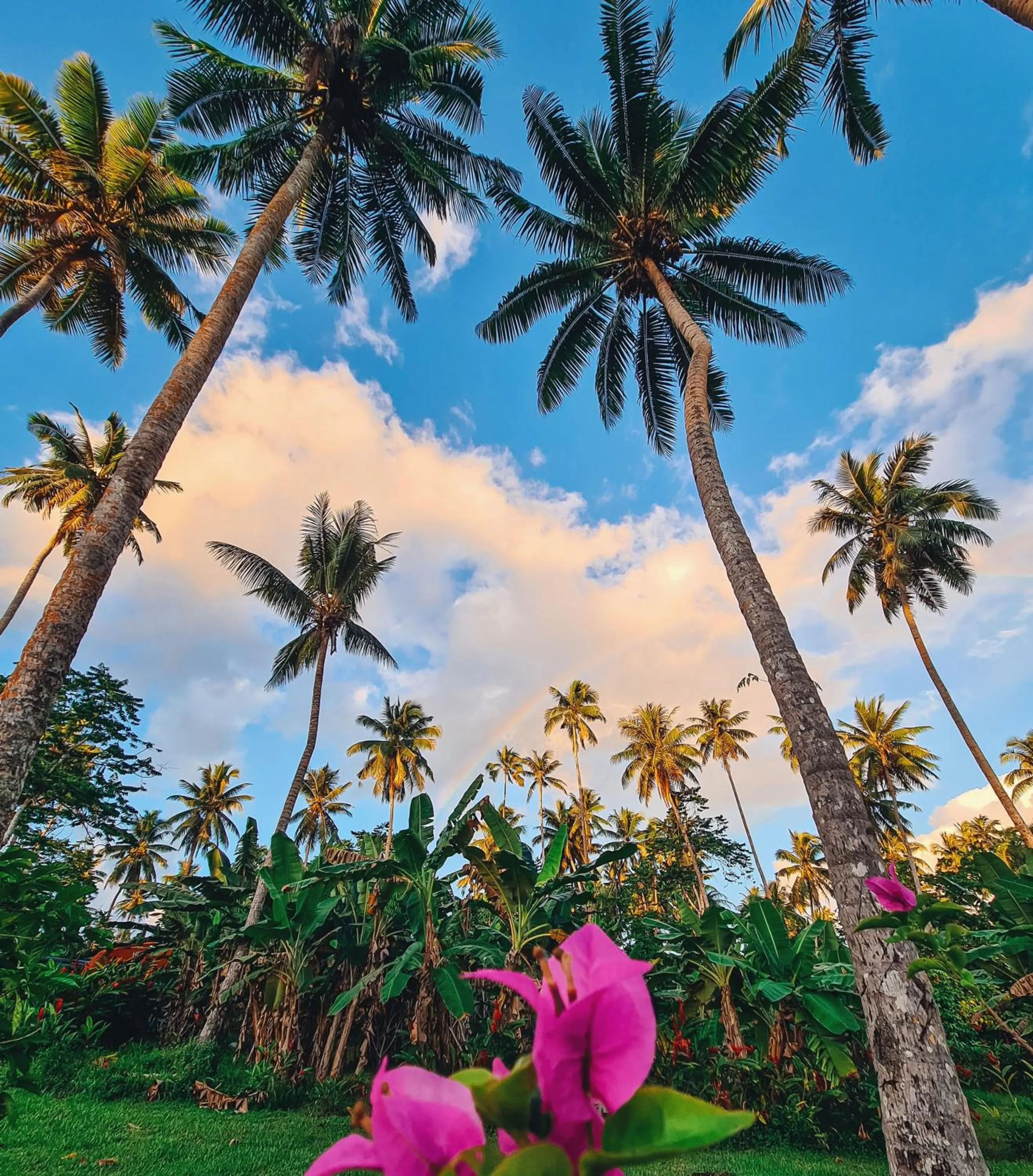 Natural landscape in Saletoga Sands Resort & Spa