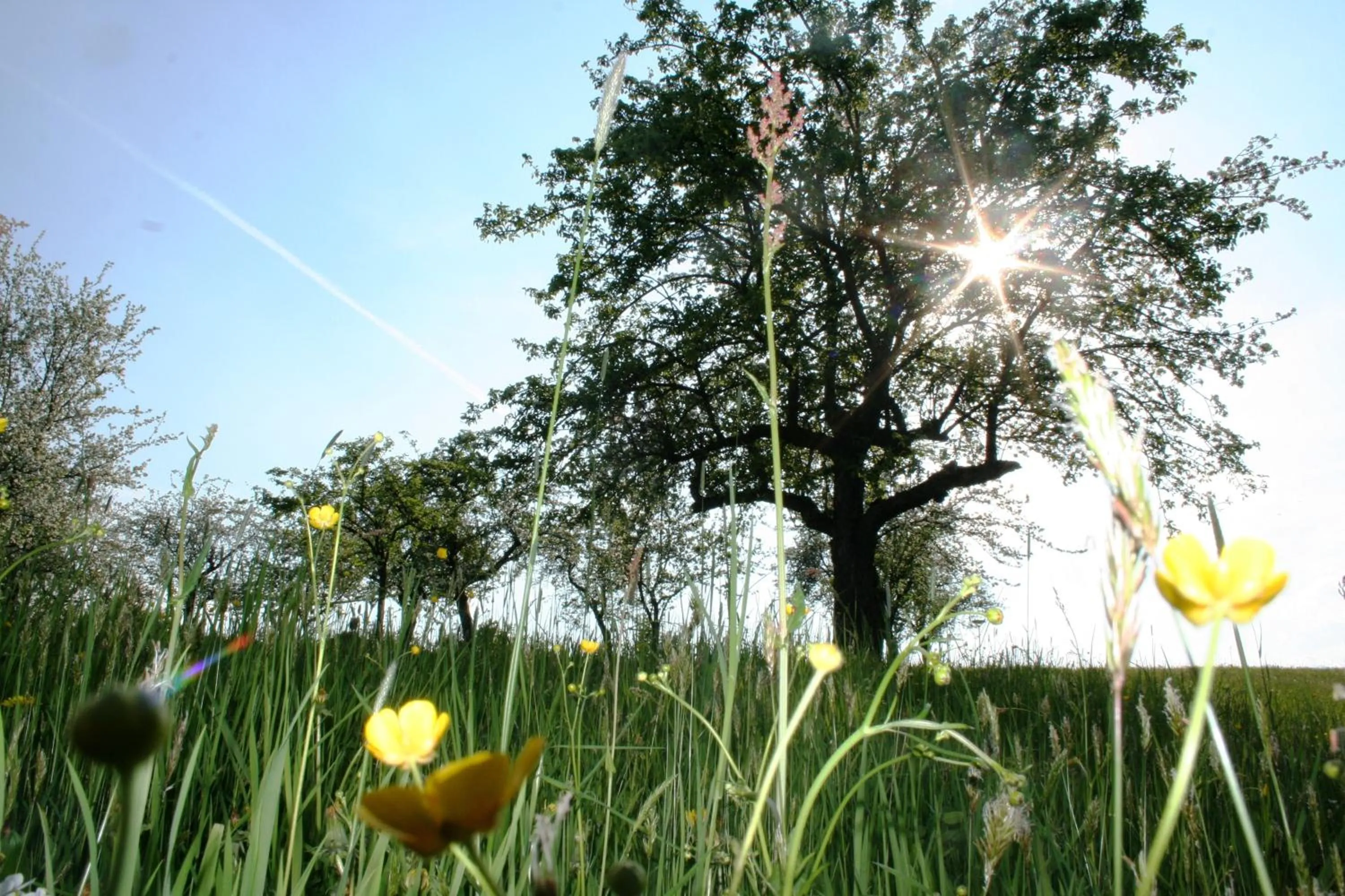 Area and facilities in Hotel-Restaurant Teuschler-Mogg Bad Waltersdorf inklusiv Genusscard