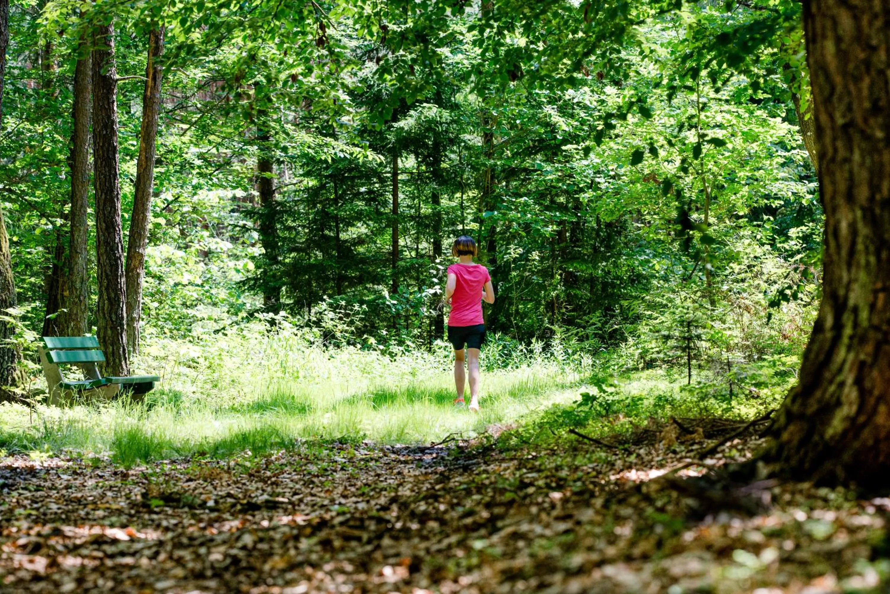 Activities in Hotel-Restaurant Teuschler-Mogg Bad Waltersdorf inklusiv Genusscard