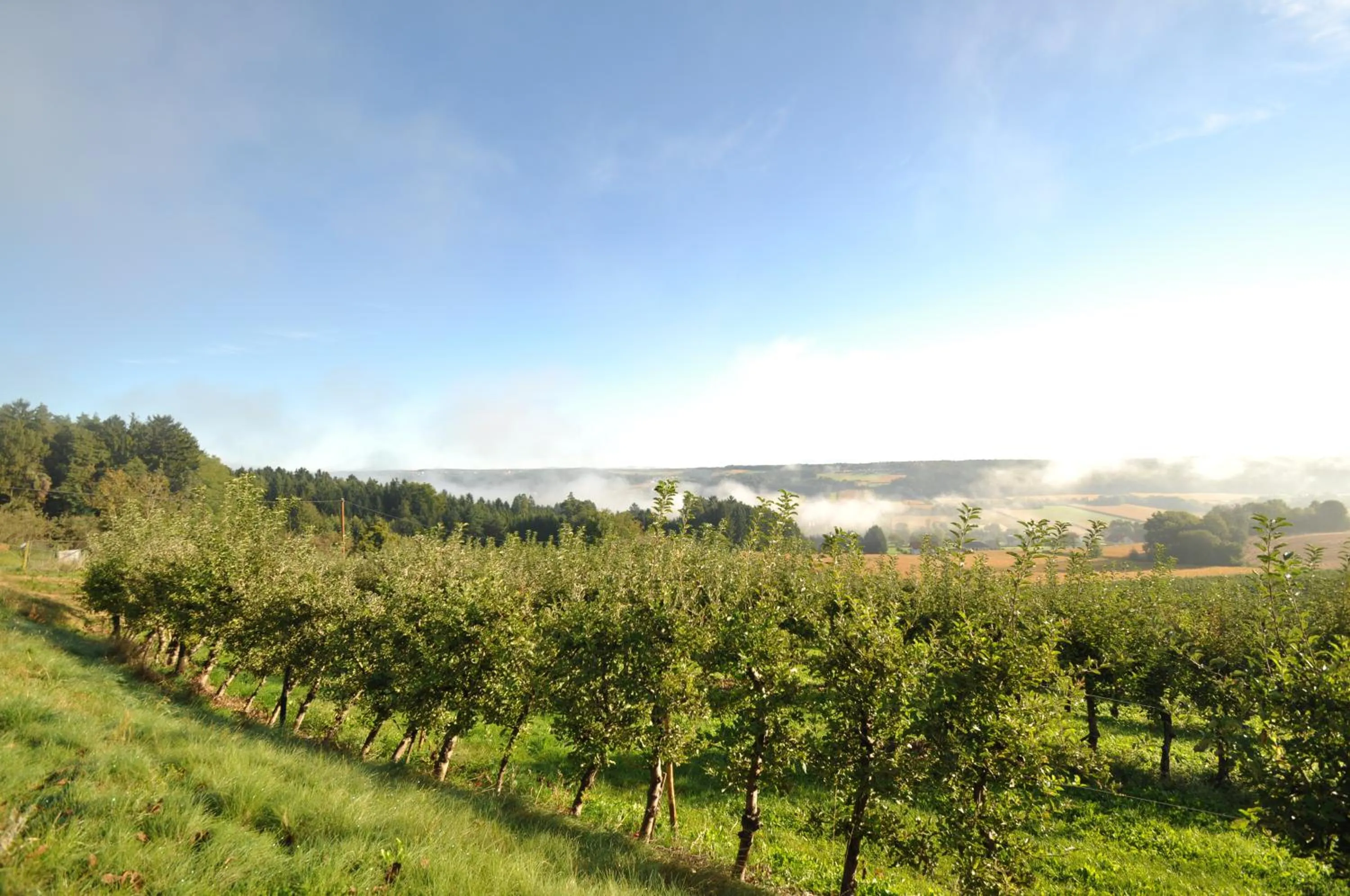 Facade/entrance in Hotel-Restaurant Teuschler-Mogg Bad Waltersdorf inklusiv Genusscard