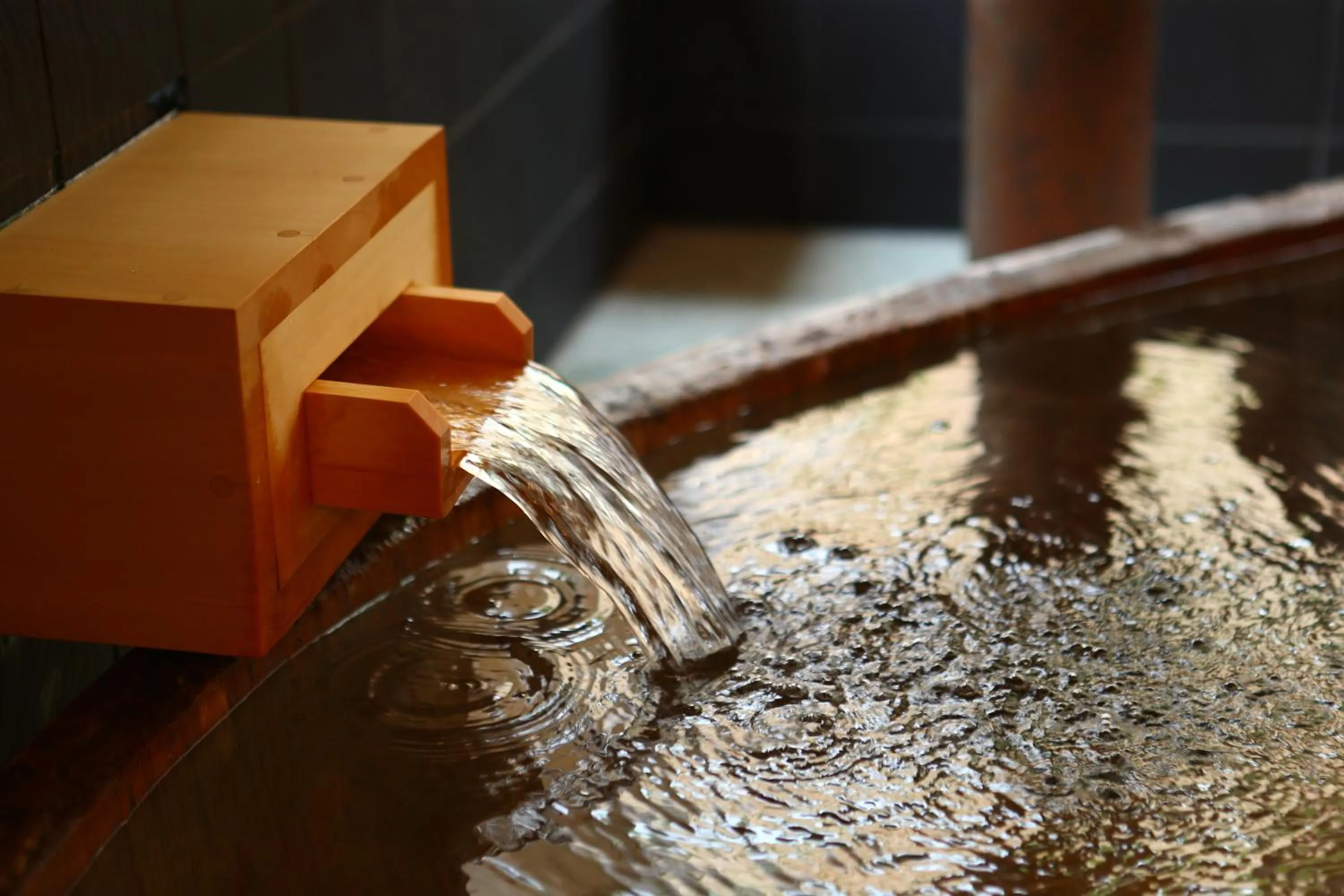 Hot Spring Bath in Izumiya Zenbe
