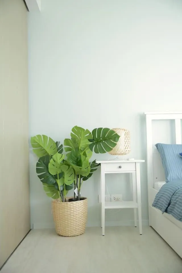 Stunning sunset on 30th floor beach front@Veranda