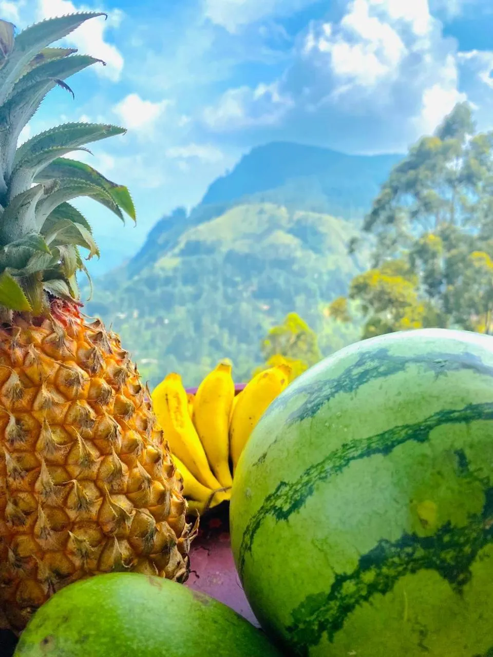 View (from property/room) in Pleasant Peak