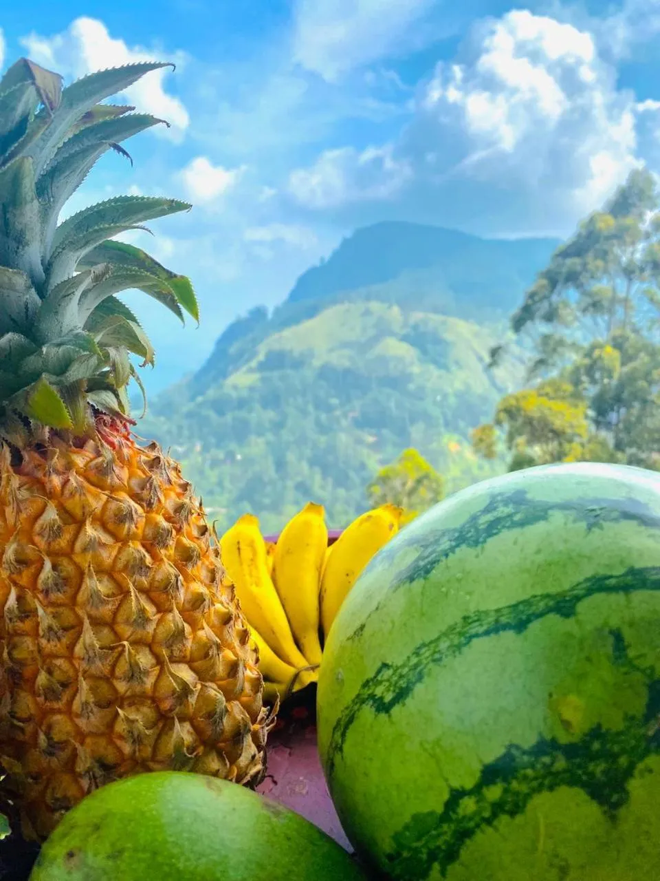 Natural landscape in Pleasant Peak