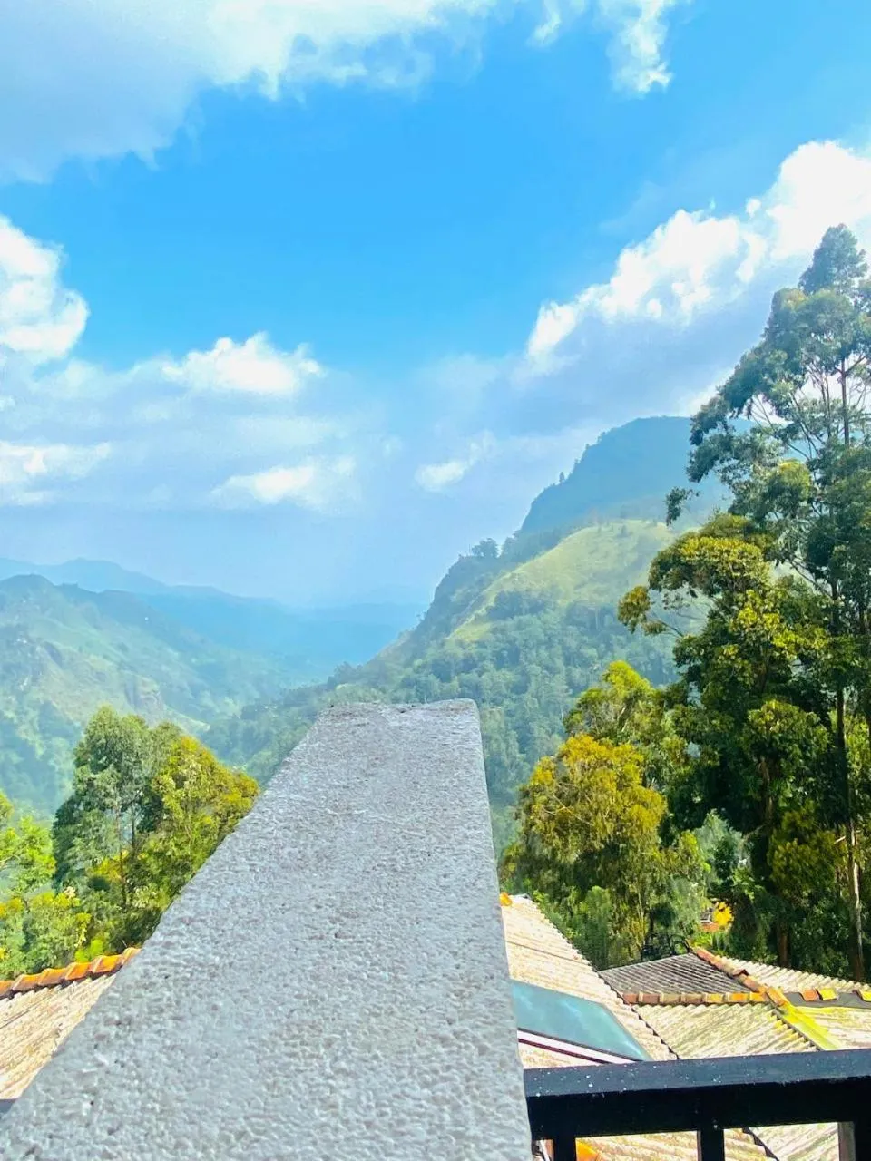 Natural landscape in Pleasant Peak