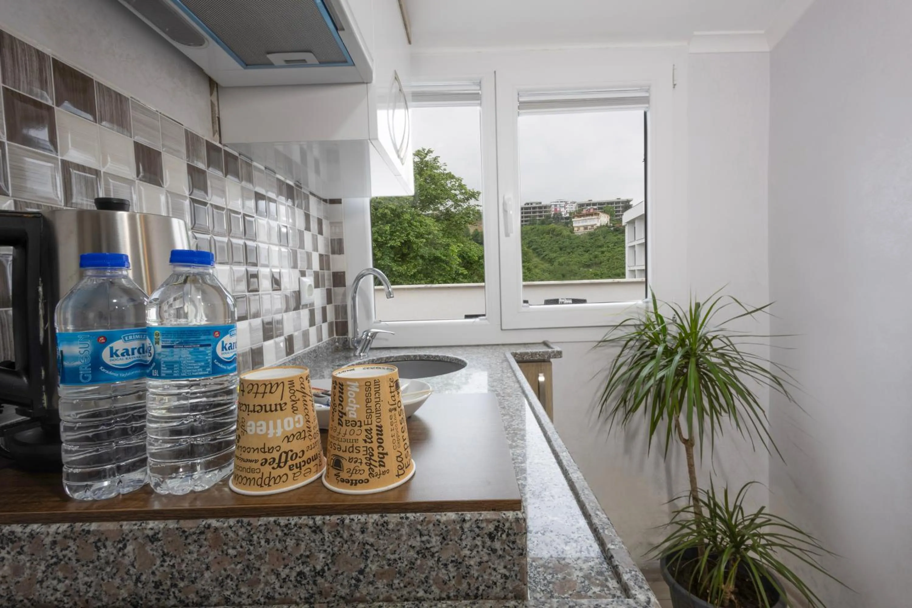 Kitchen or kitchenette in Alya Hotel