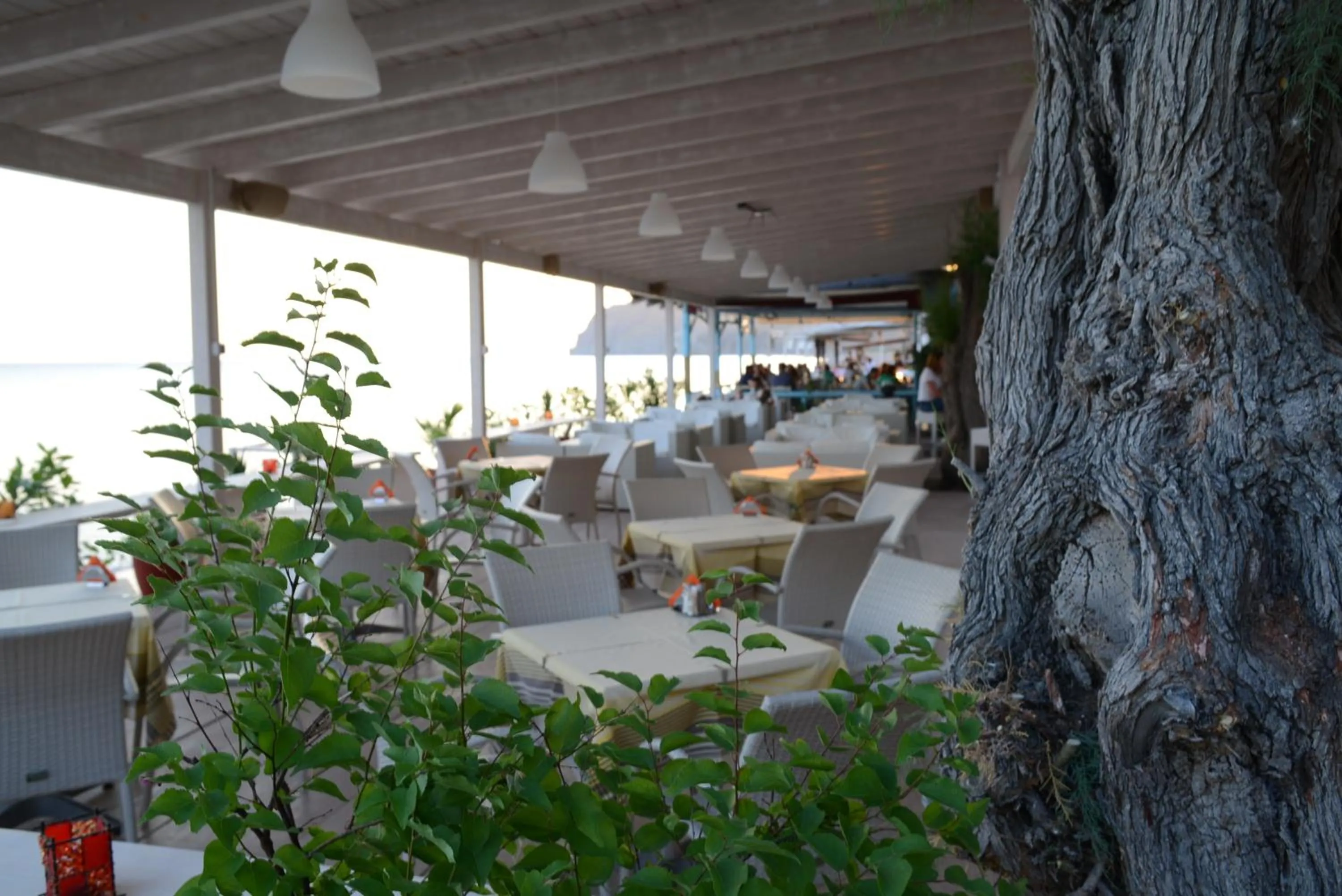 Sea view in Sappho Hotel