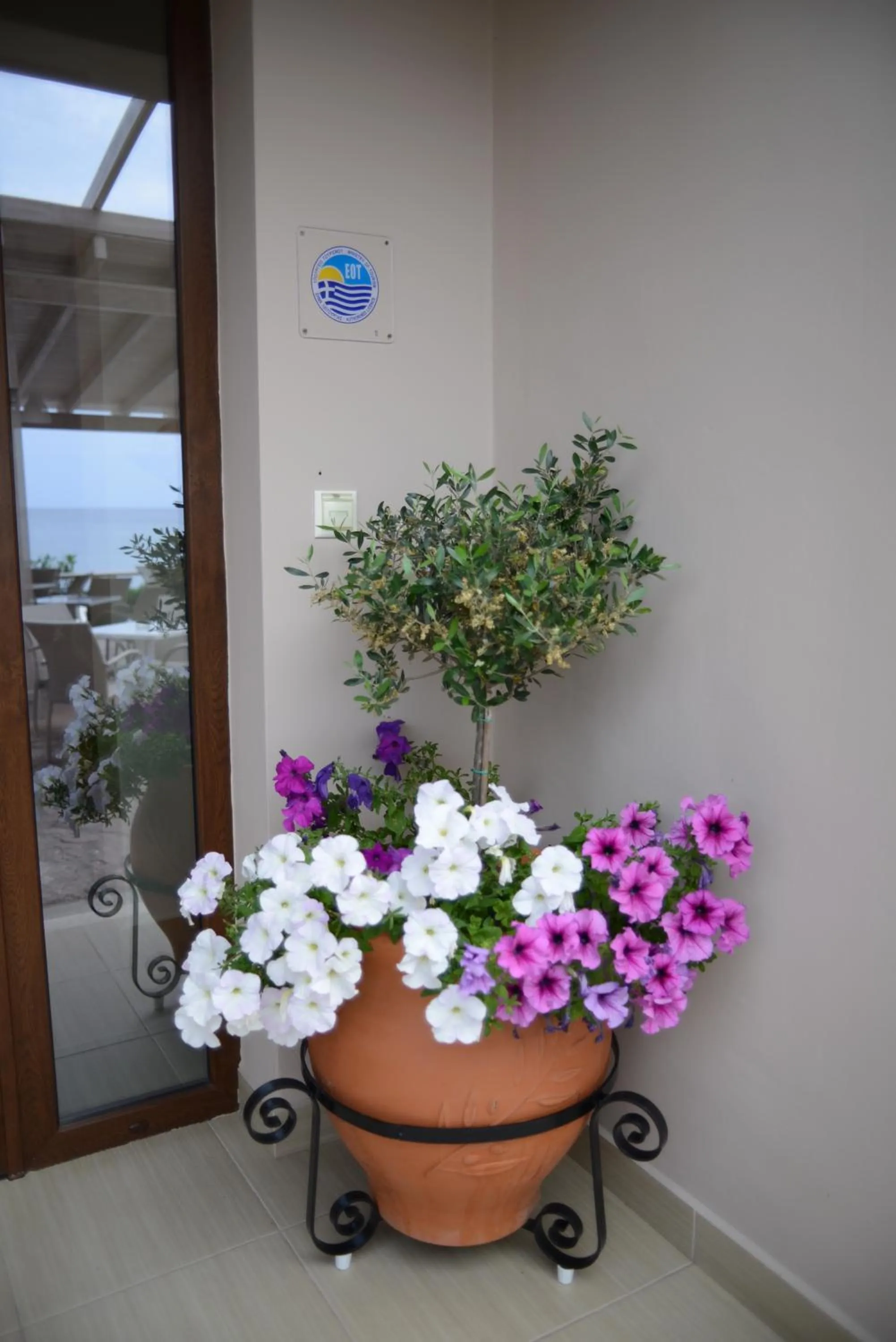 Certificate/Award in Sappho Hotel