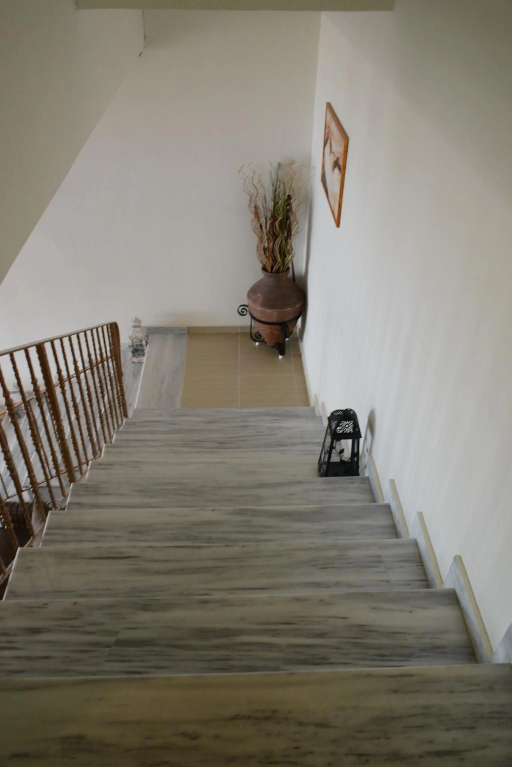 Area and facilities in Sappho Hotel