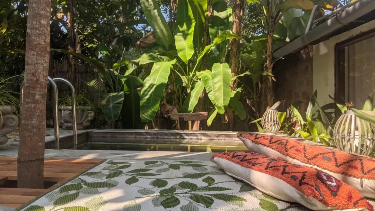 Sunsets and Palm Trees