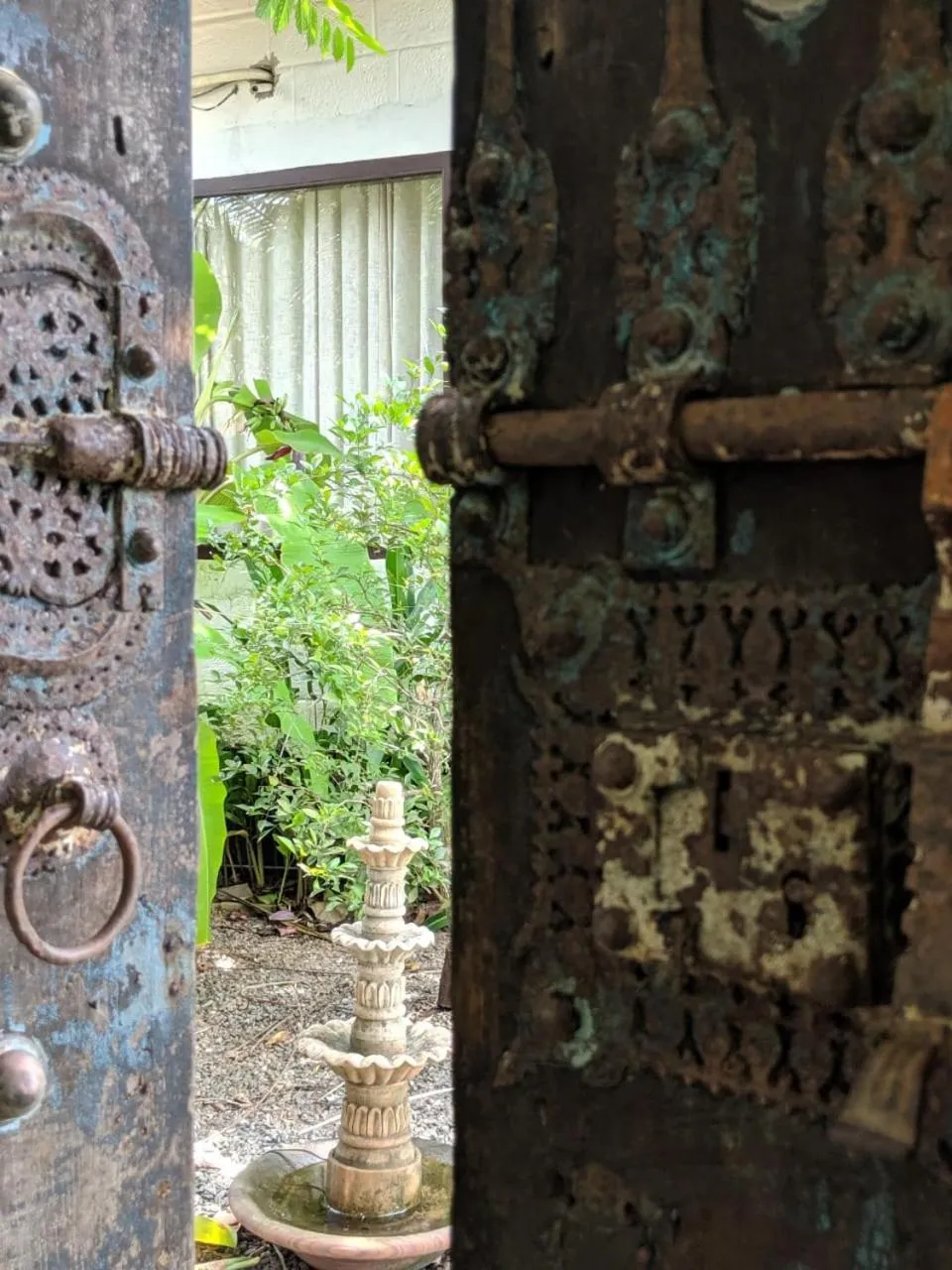 Sunsets and Palm Trees