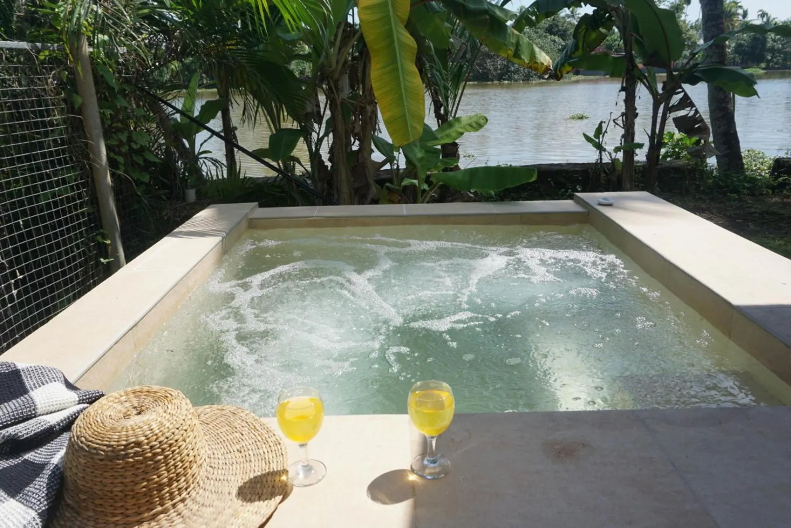 Swimming pool in Sunsets and Palm Trees