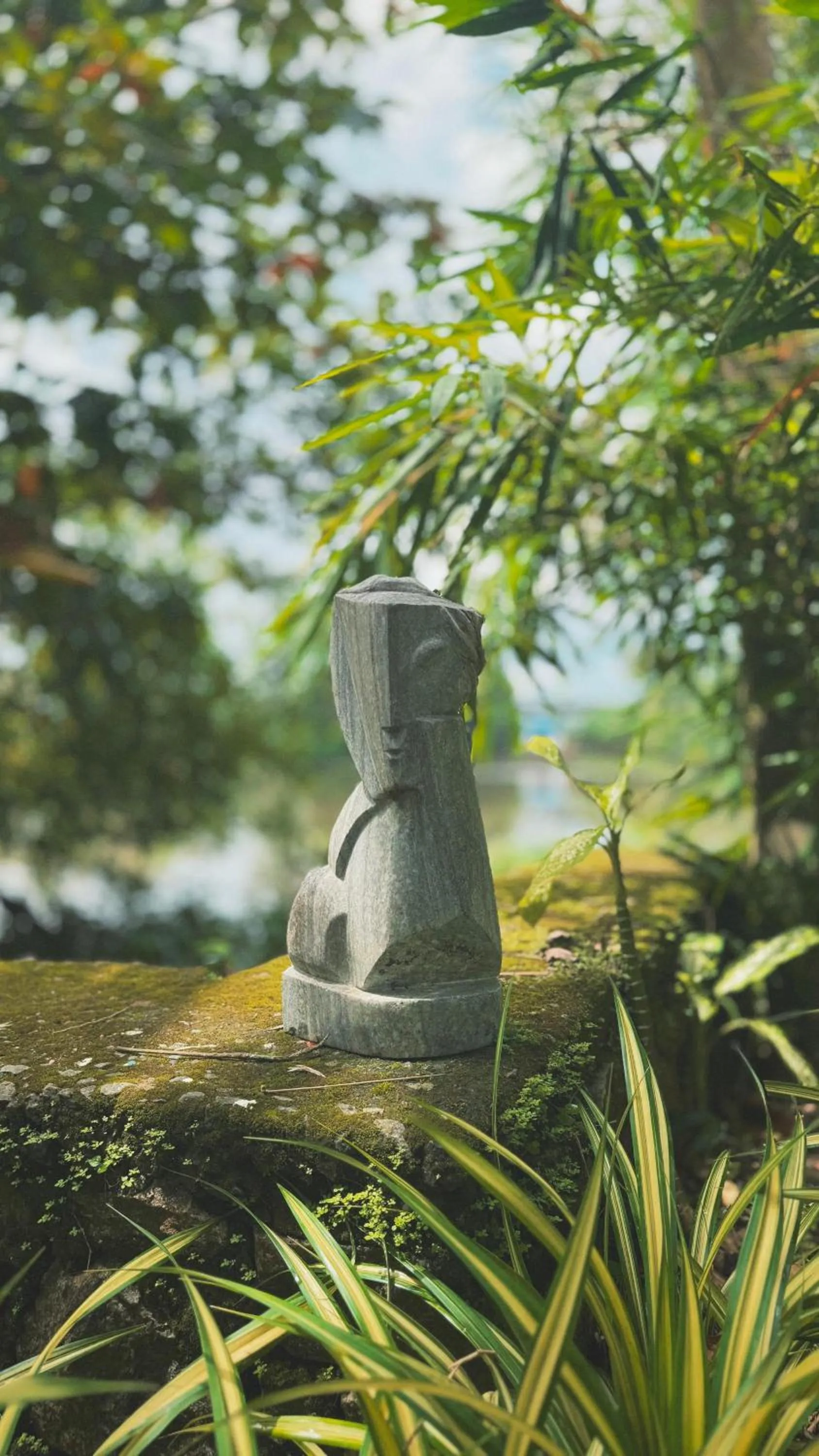 Sunsets and Palm Trees