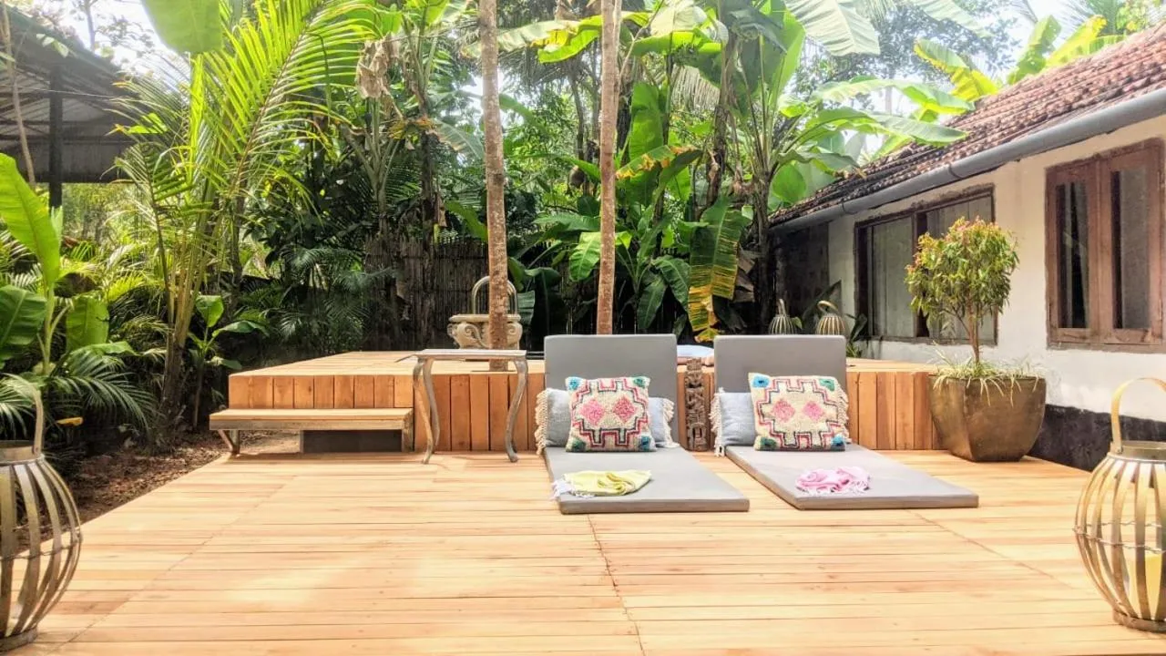 Sunsets and Palm Trees