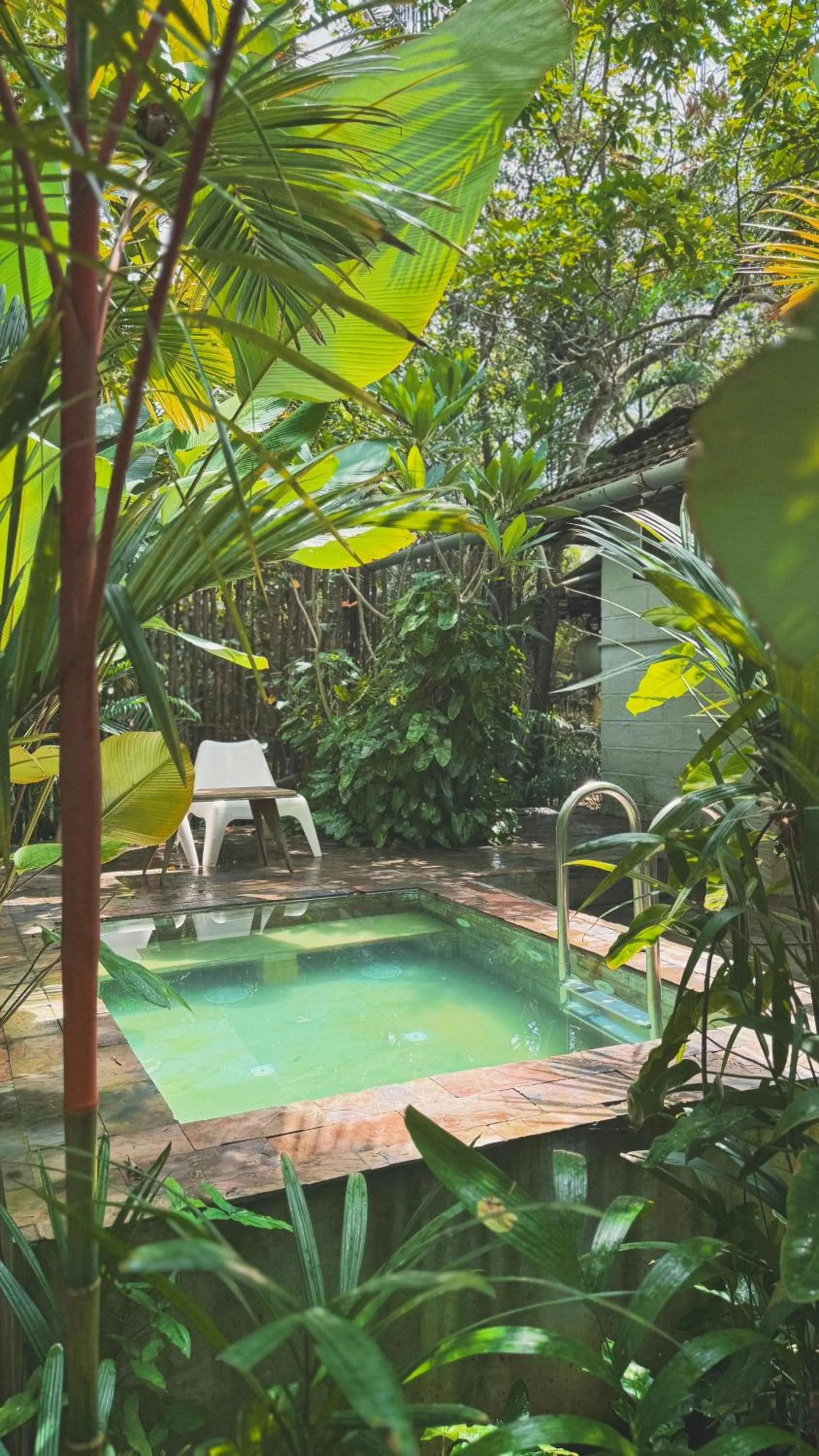 Sunsets and Palm Trees