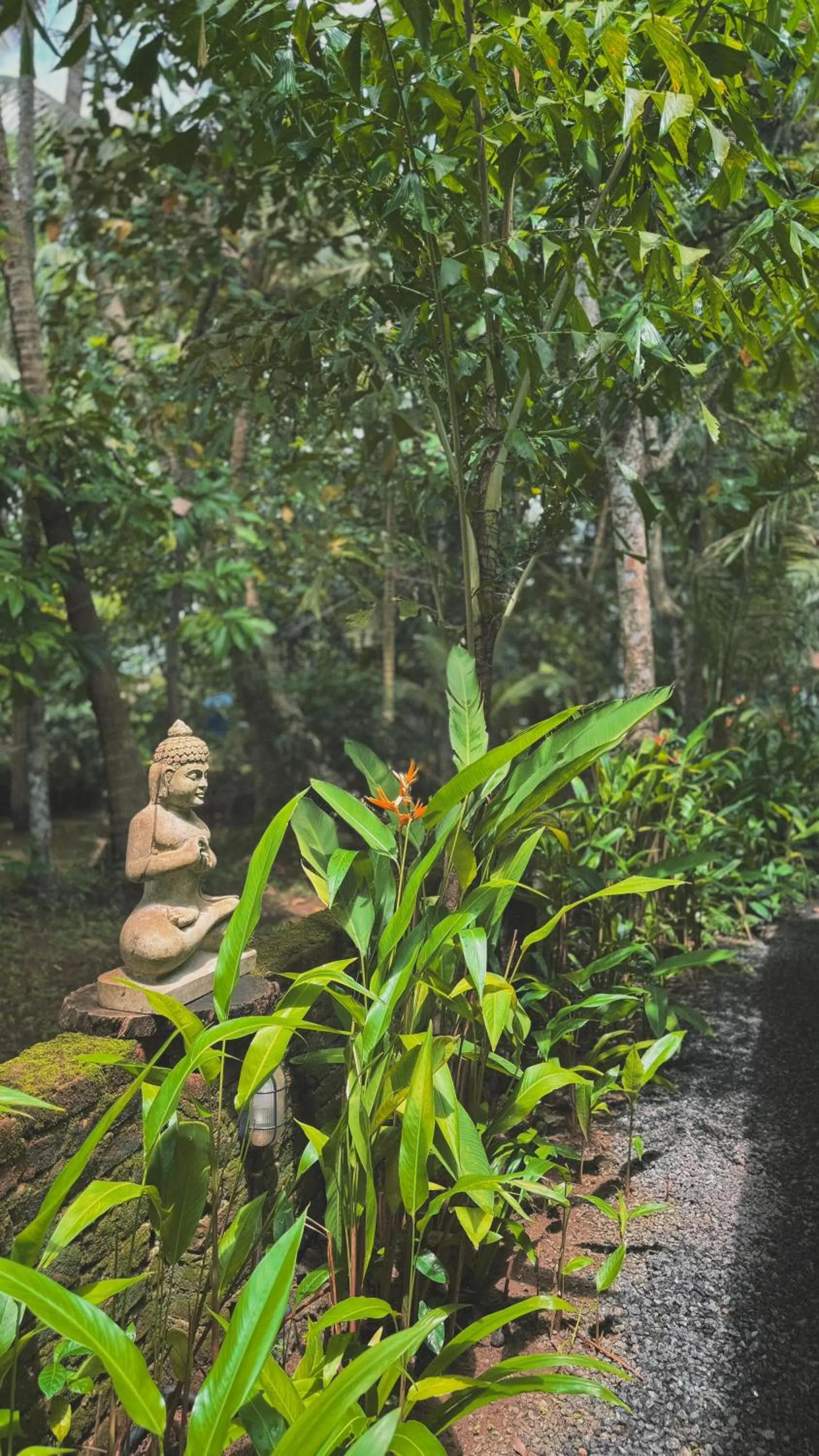 Sunsets and Palm Trees