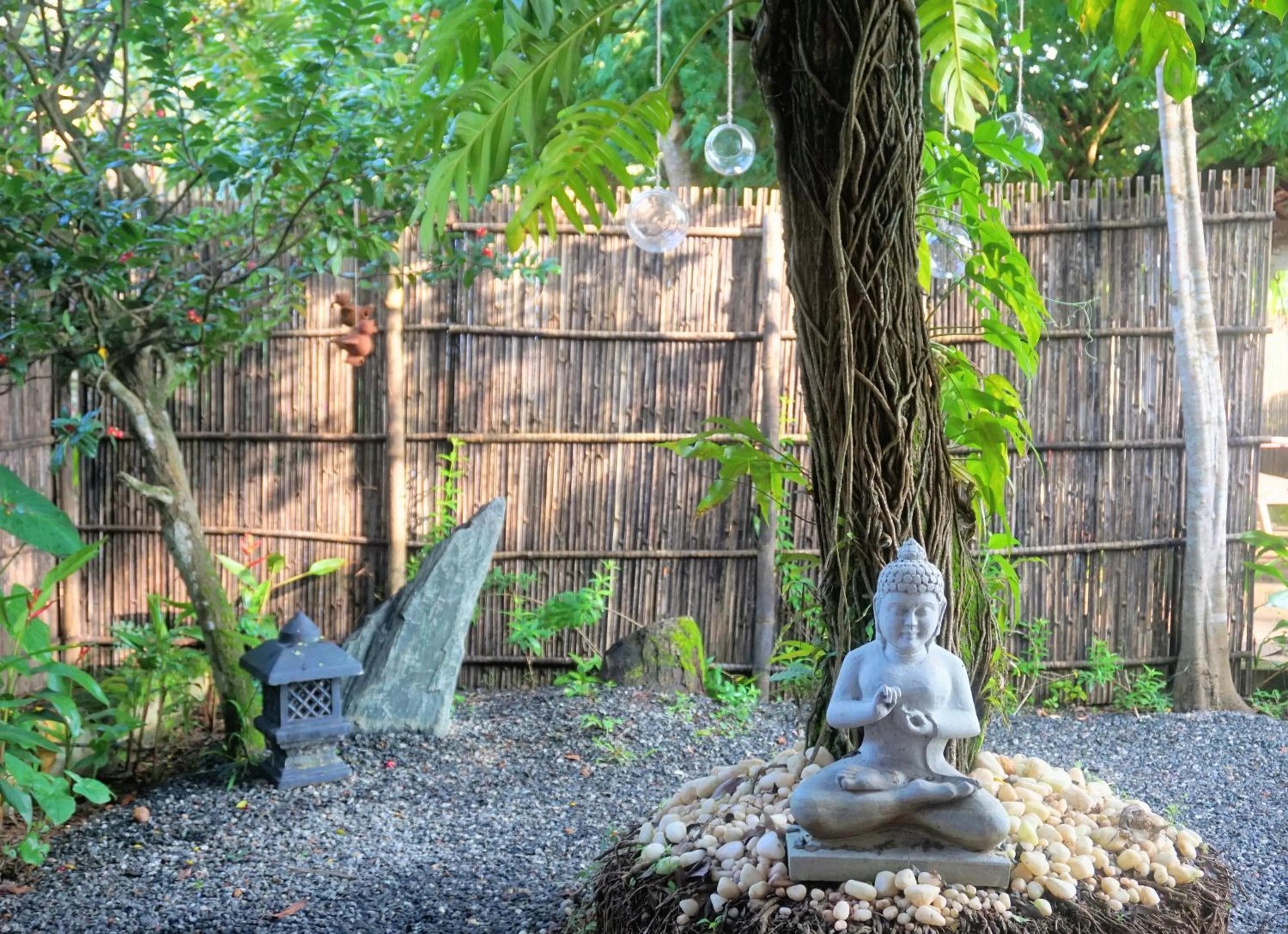 Sunsets and Palm Trees