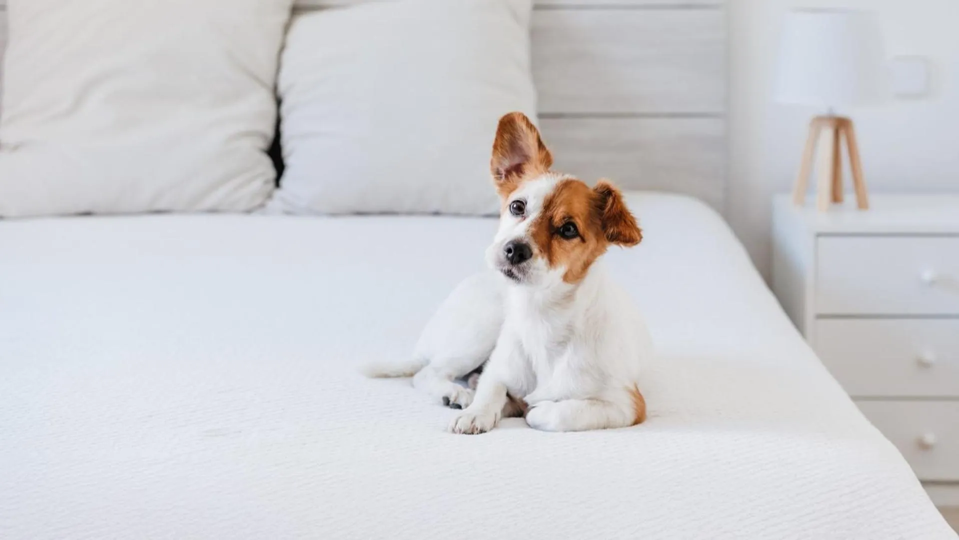 Oakwood Premier Coex Center Seoul