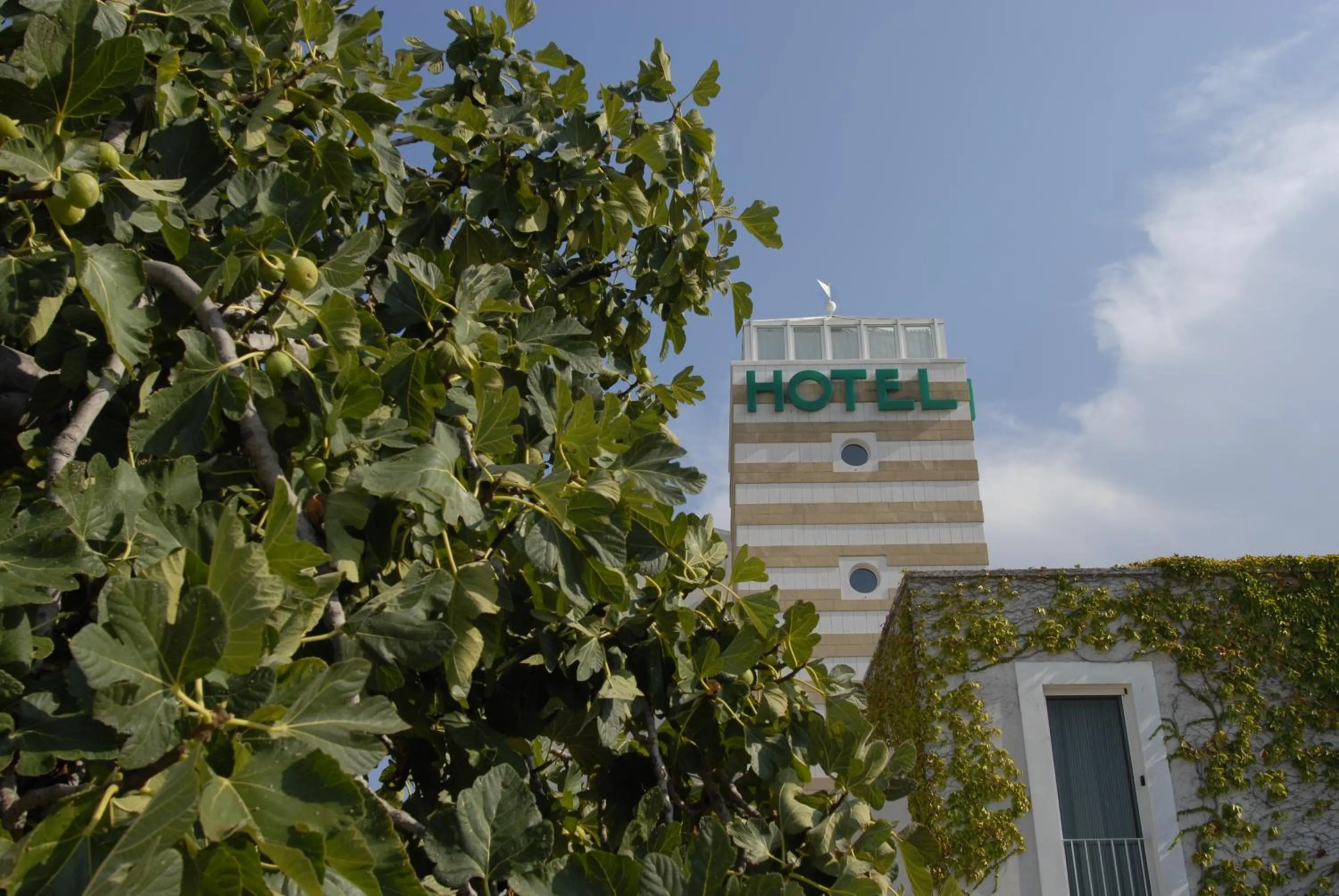 View (from property/room) in Hotel Vecchio Mulino