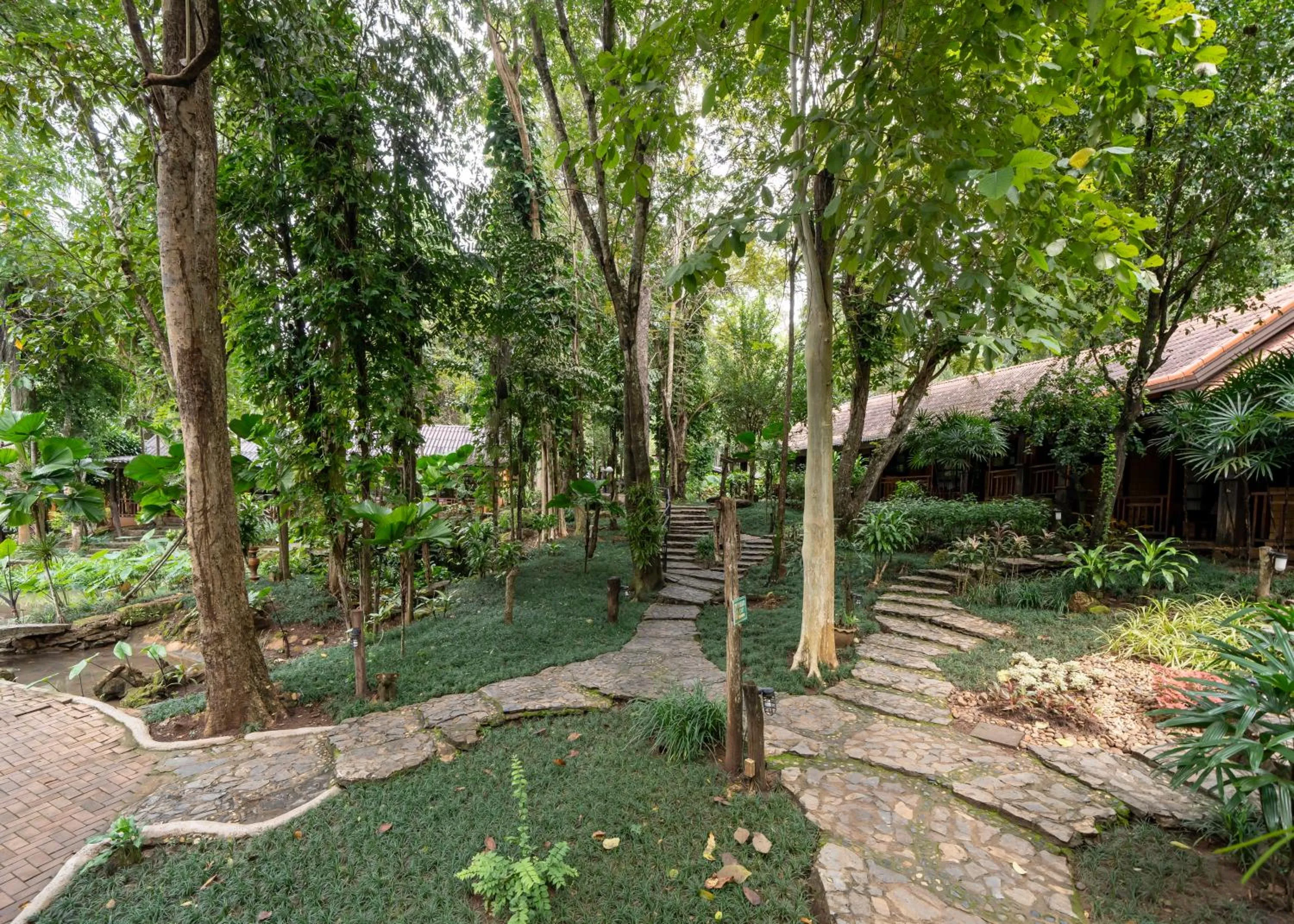 Natural landscape in Home Phutoey River Kwai Hotspring & Nature Resort