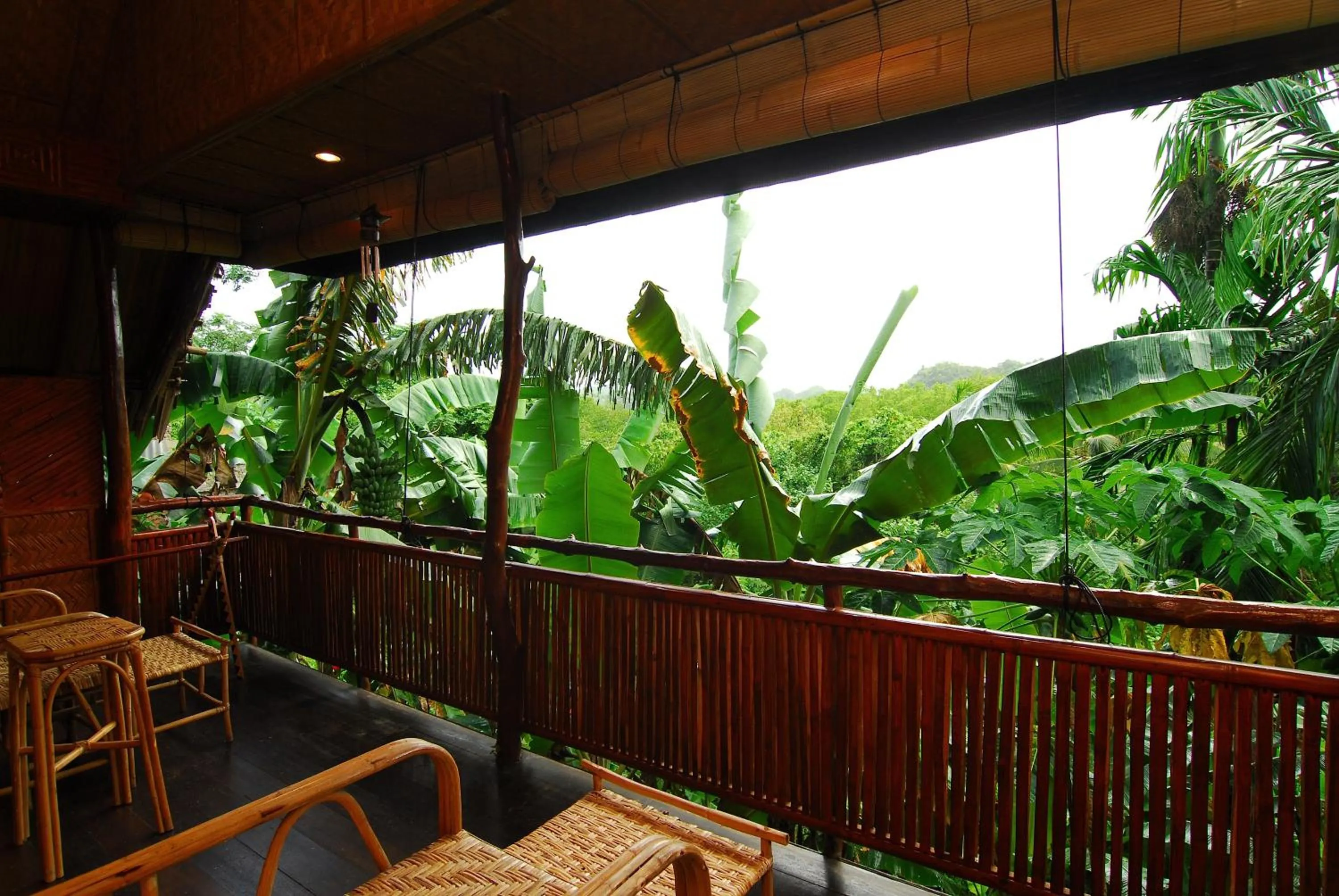 Balcony/Terrace in Palau Plantation Resort
