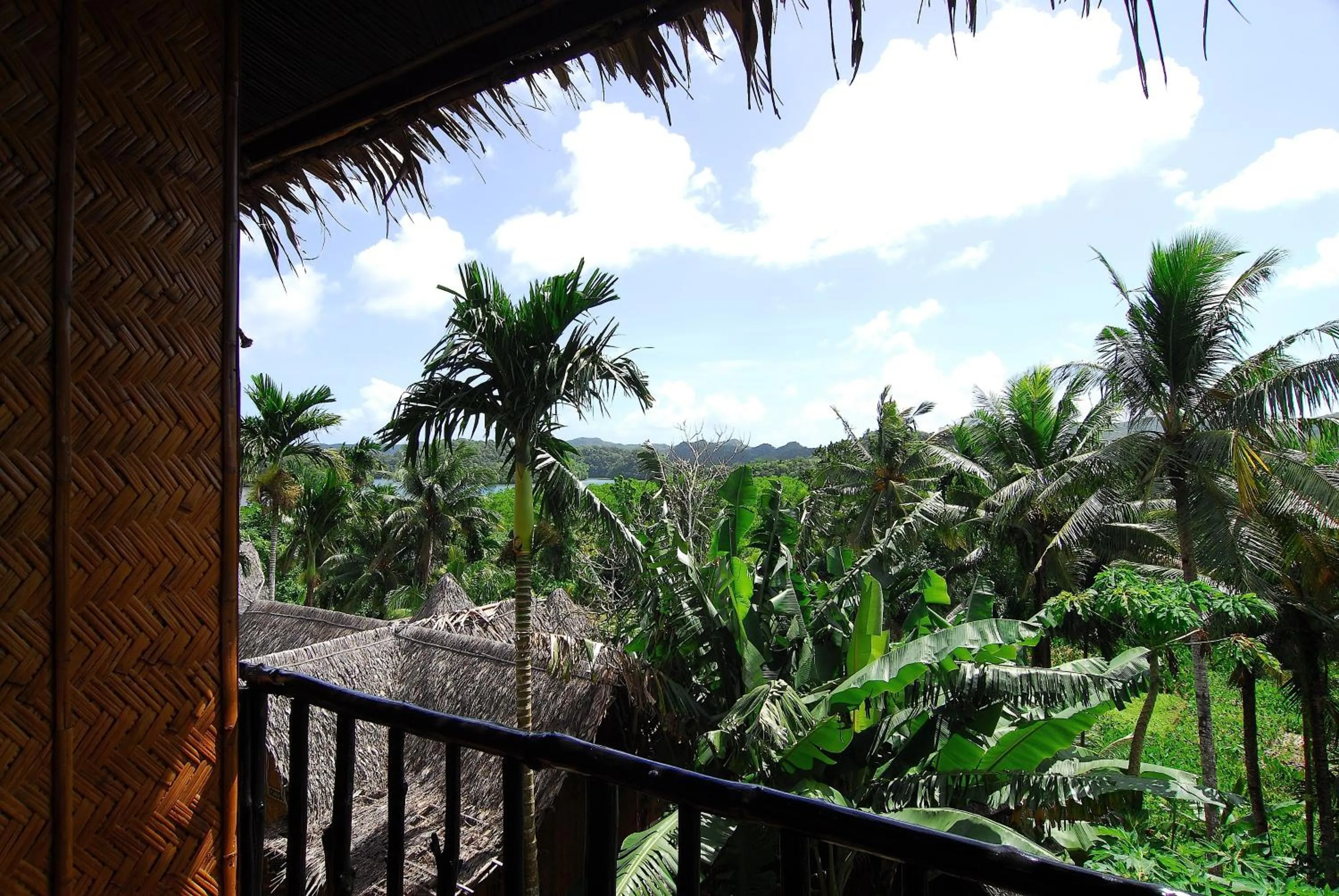 Balcony/Terrace in Palau Plantation Resort