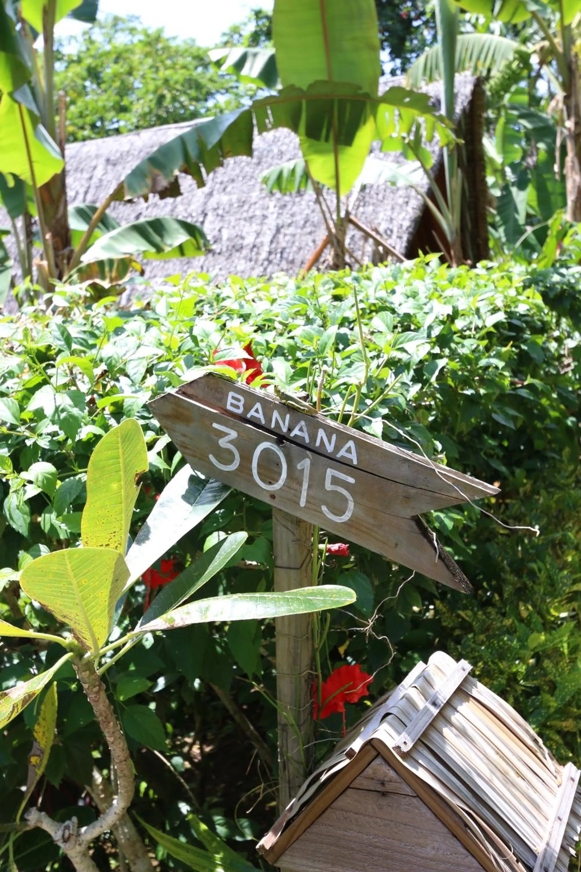 On site in Palau Plantation Resort