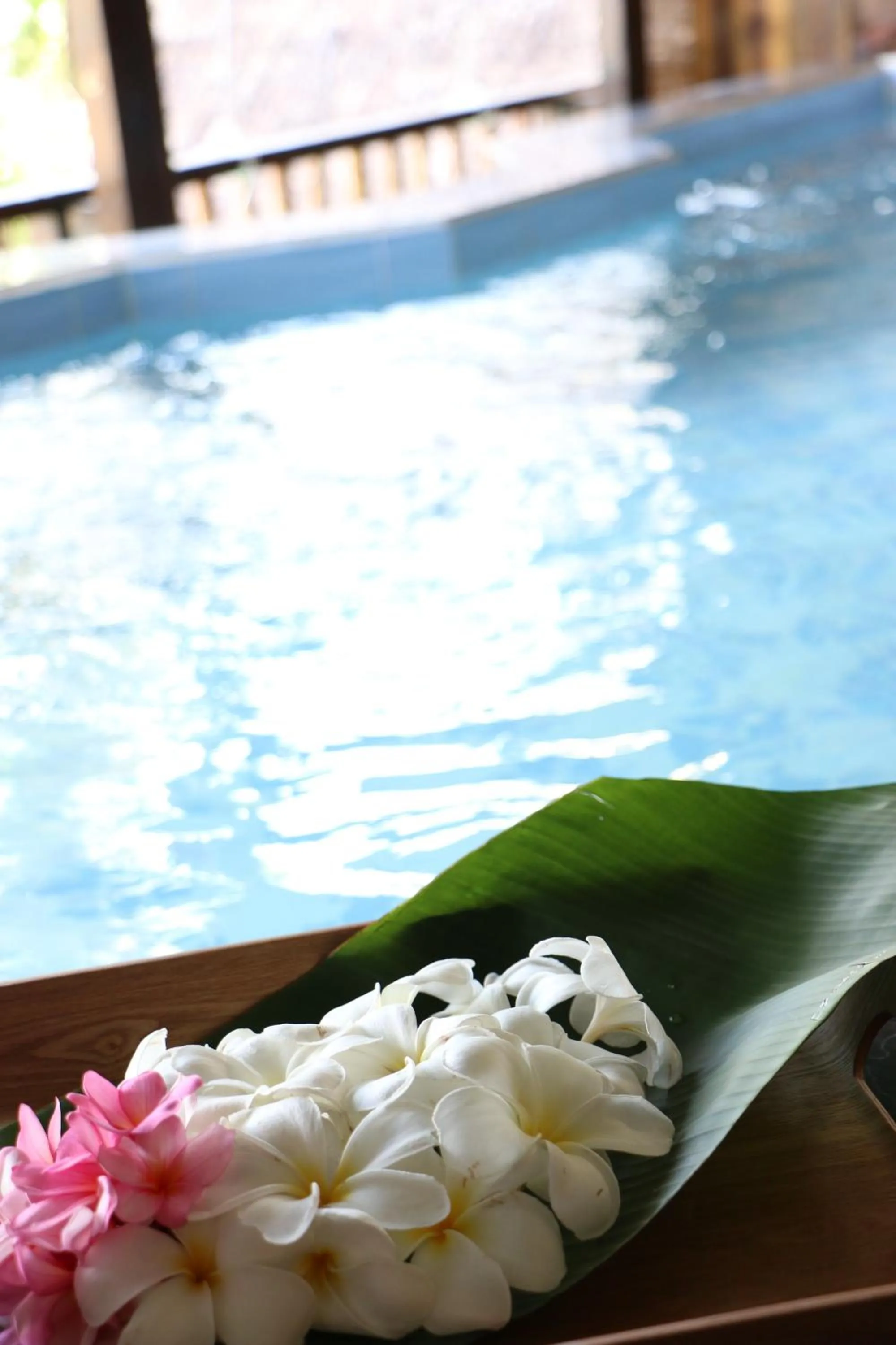 Palau Plantation Resort