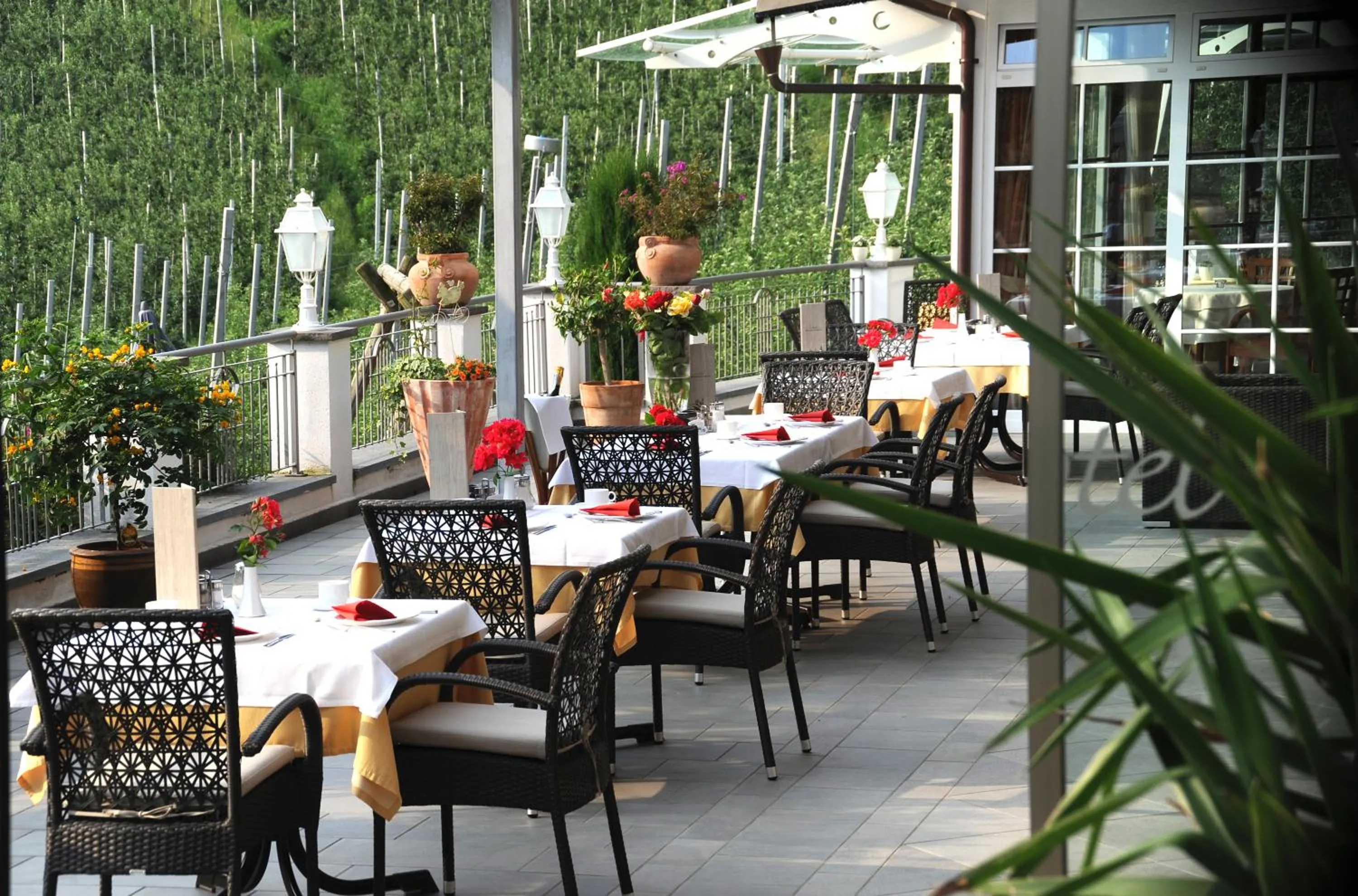 Restaurant/places to eat in Apparthotel Calma