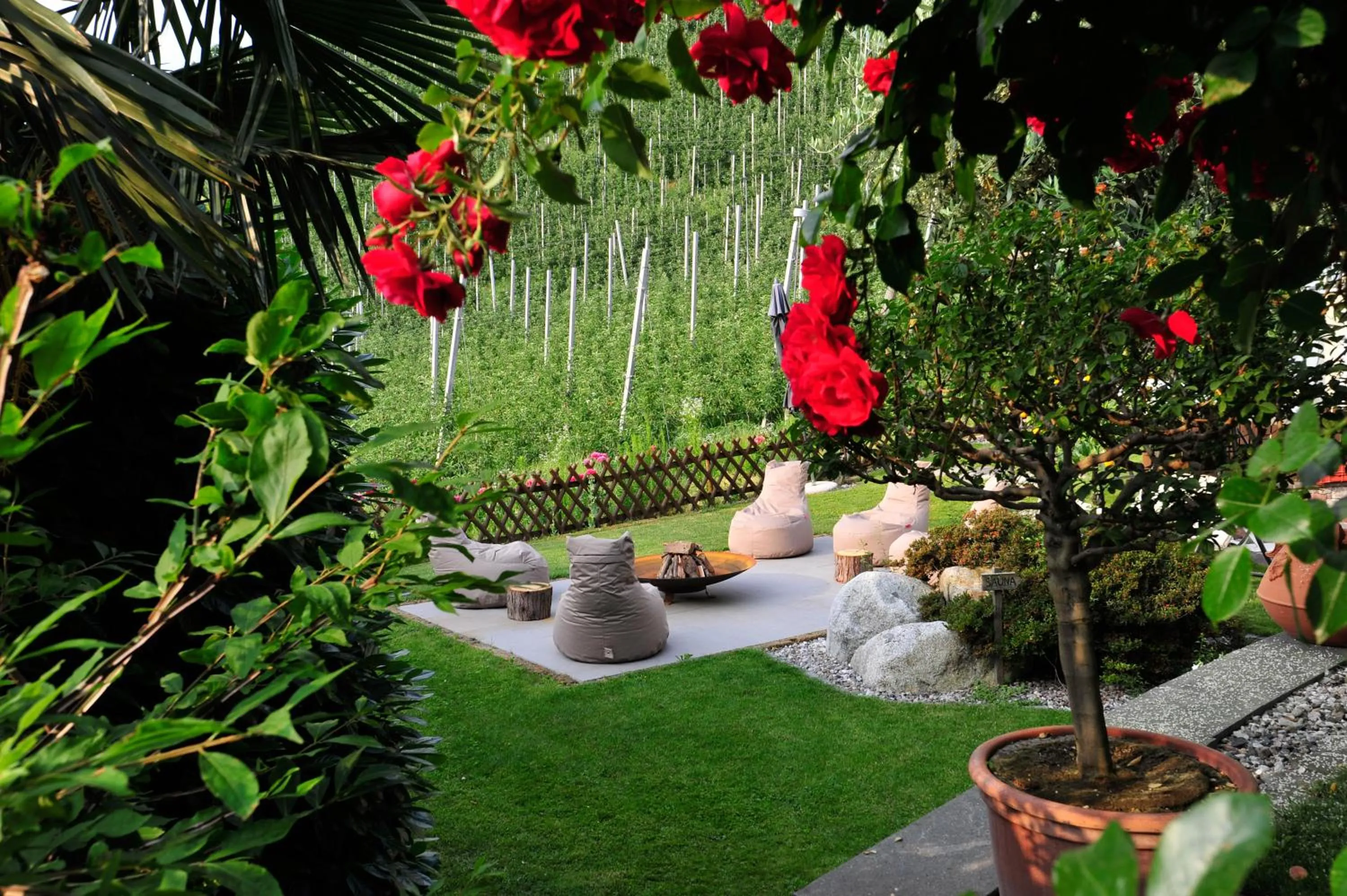 Garden in Apparthotel Calma