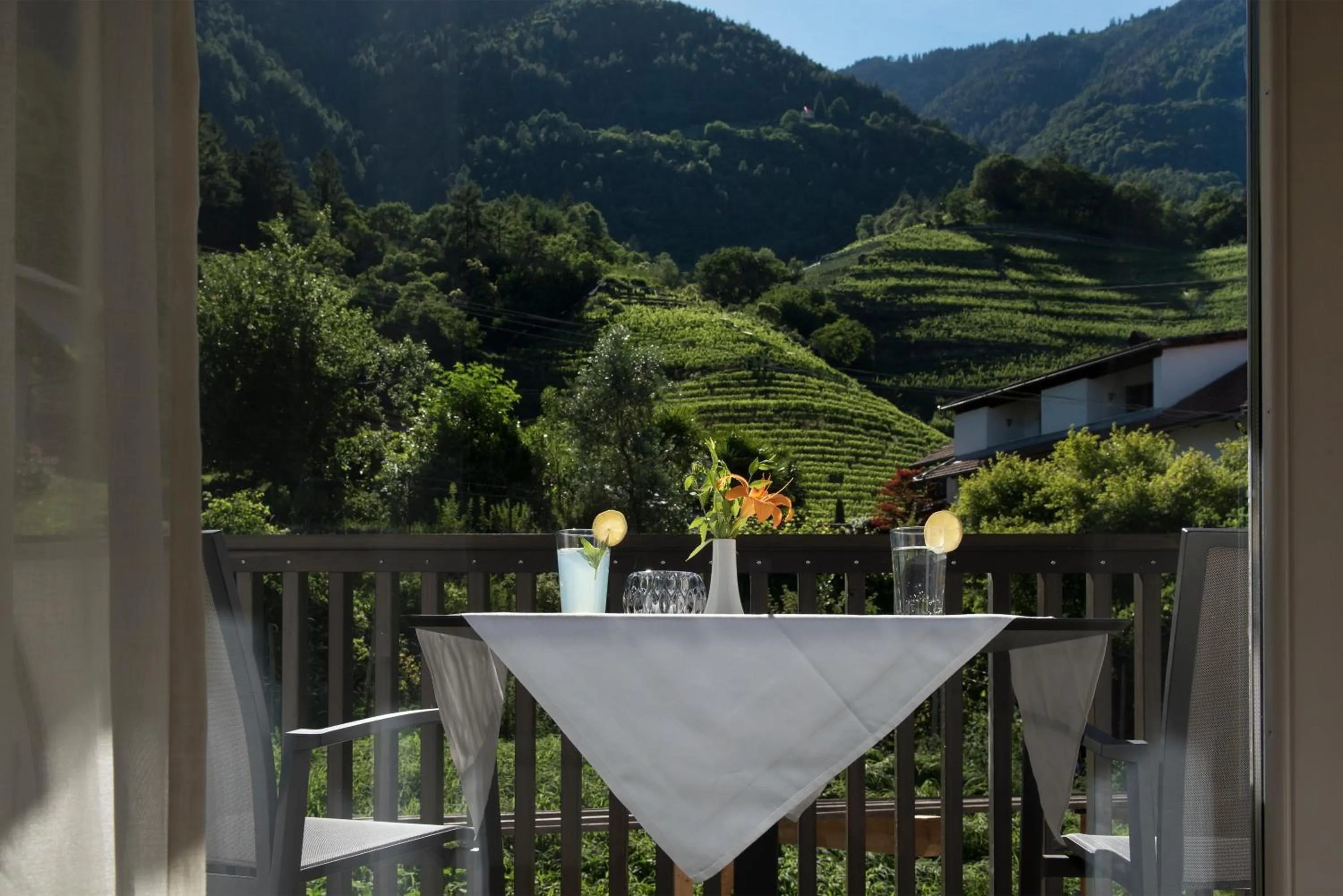 Garden view in Apparthotel Calma