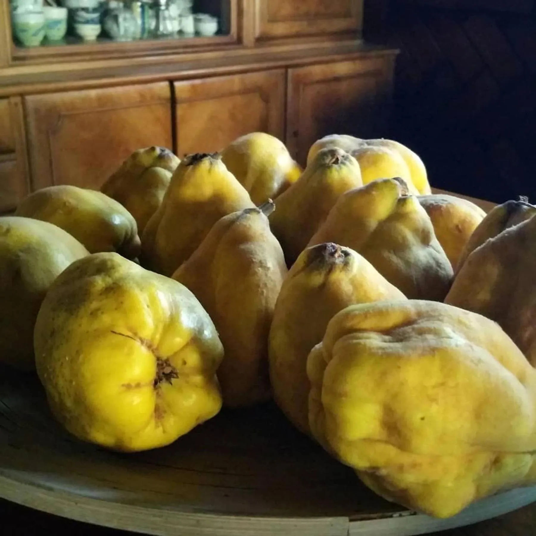 Food in El Camino Real