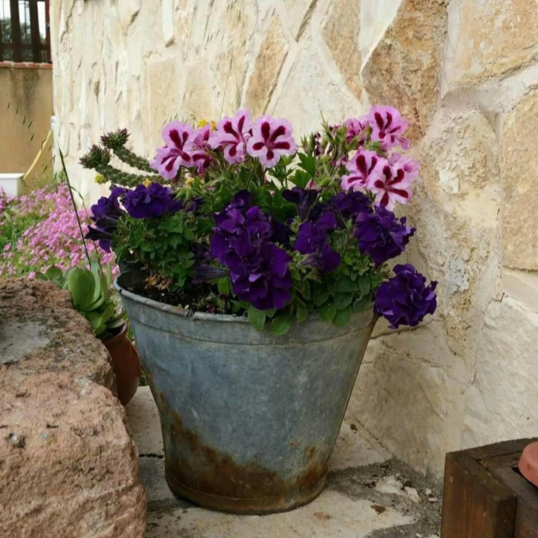 Decorative detail in El Camino Real
