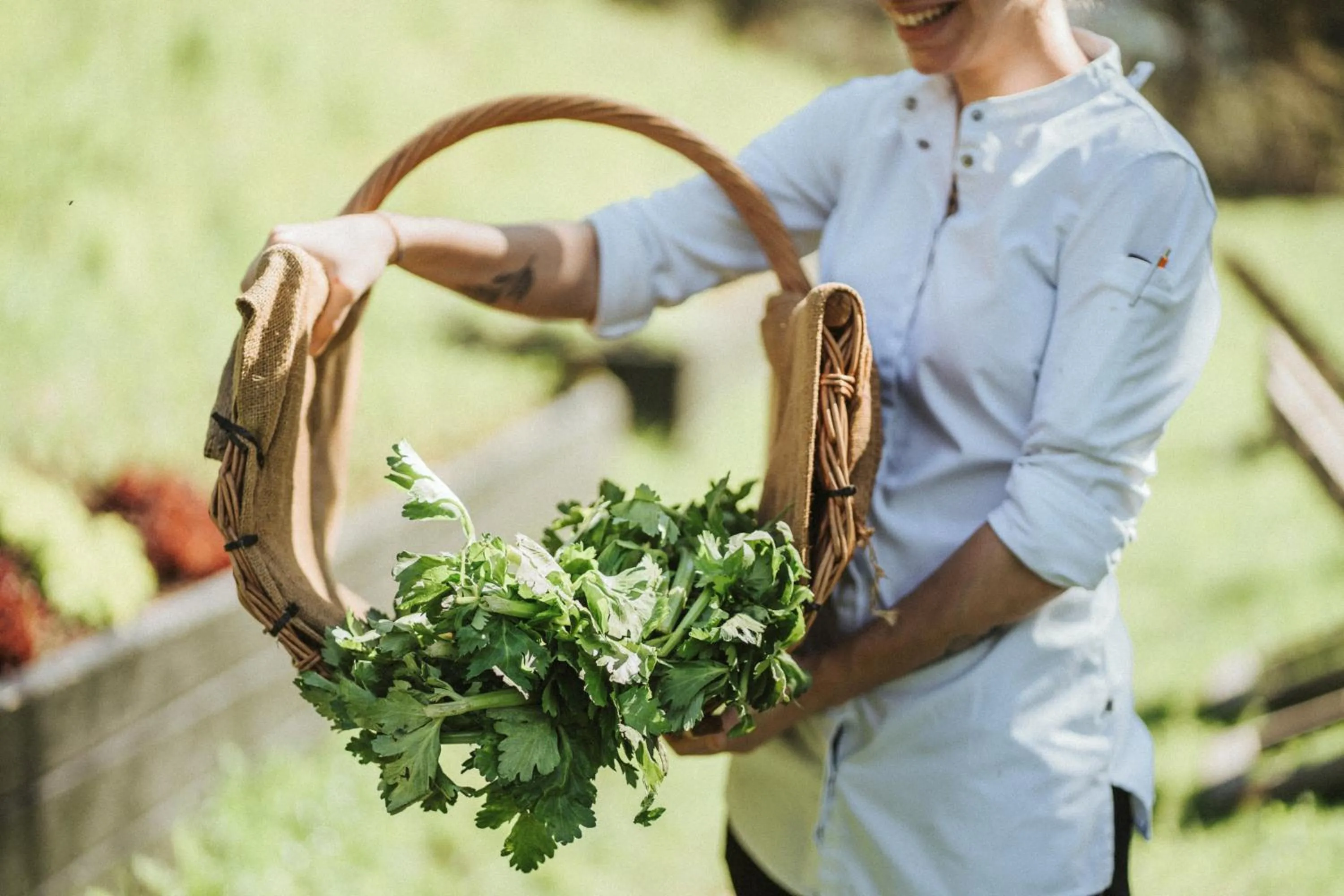 Garden in Hotel KÜGLERHOF