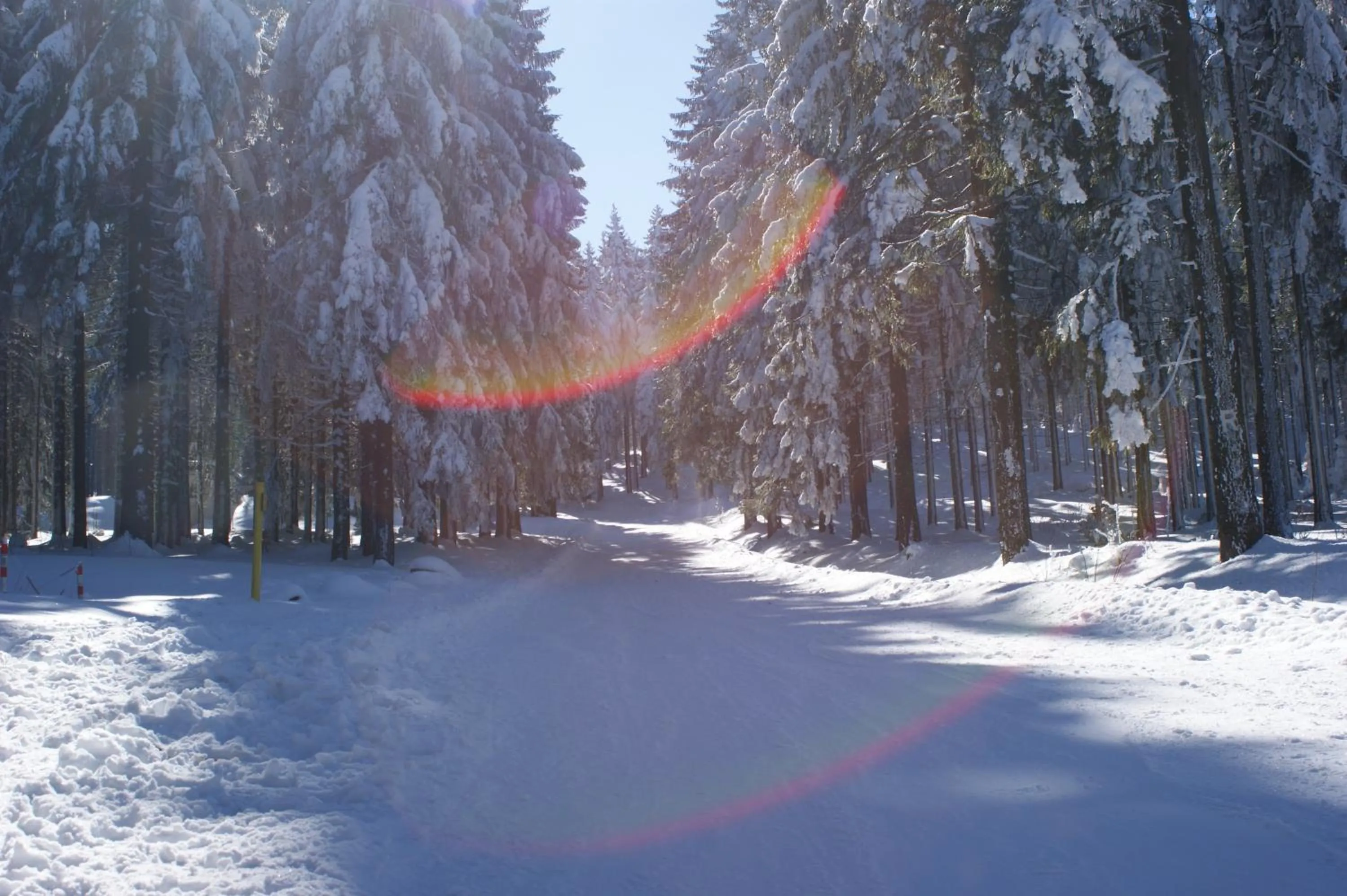 Area and facilities in Hotel Haus Oberland