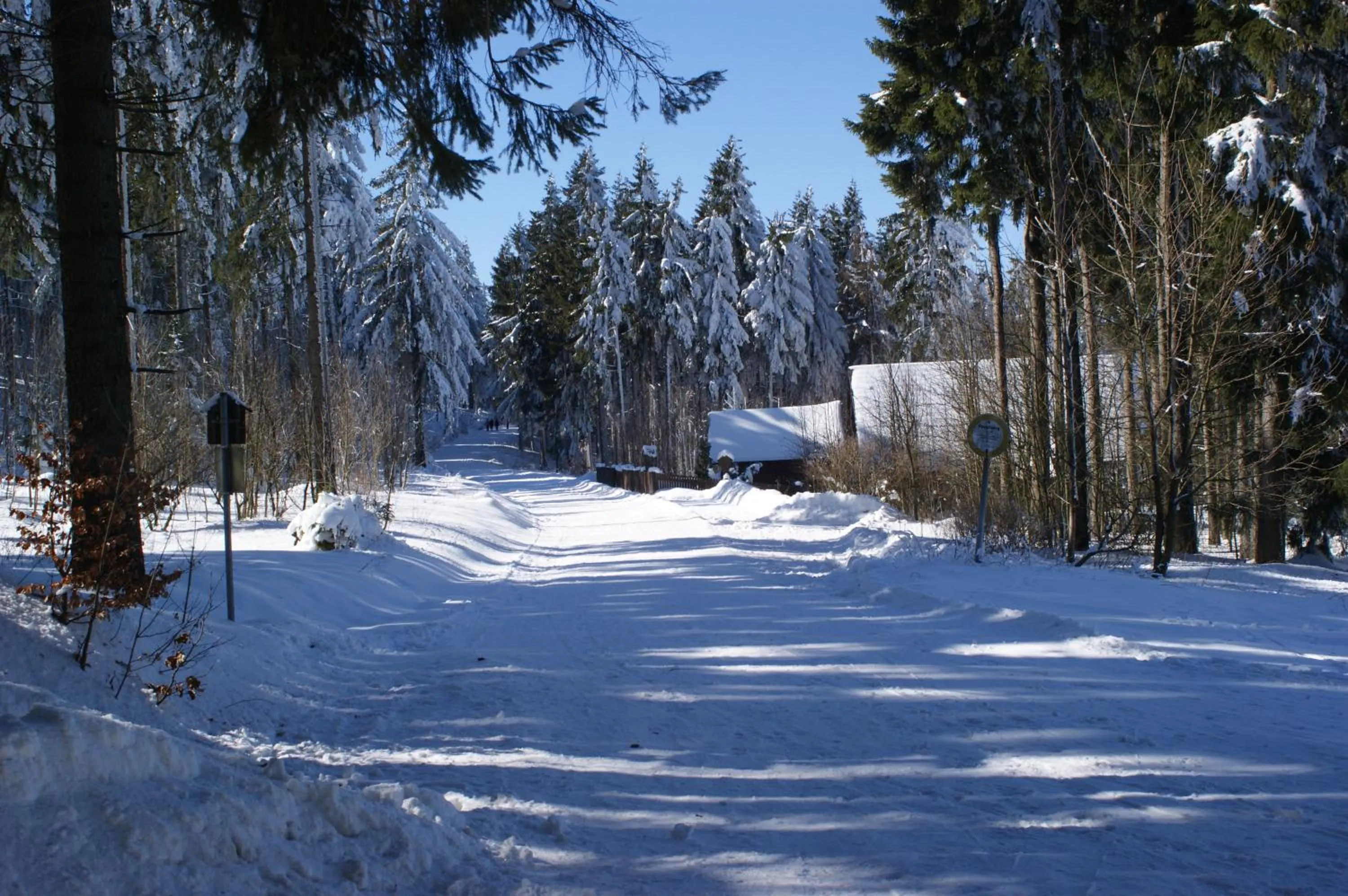 Area and facilities in Hotel Haus Oberland