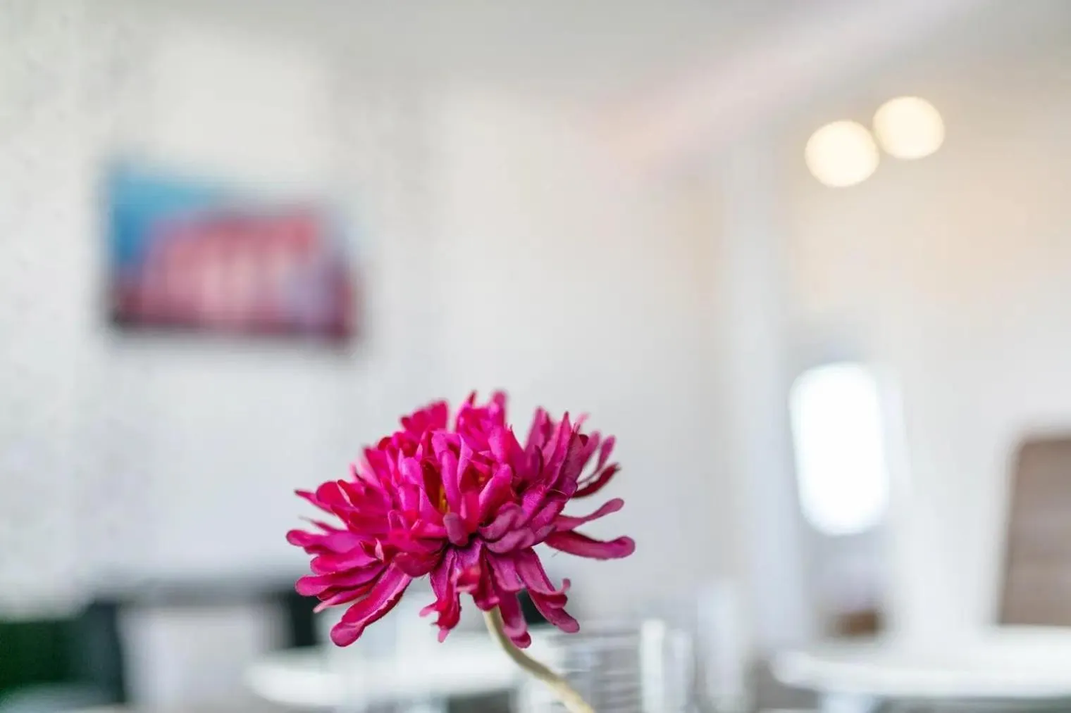 Living room in Apartments Schöneberg