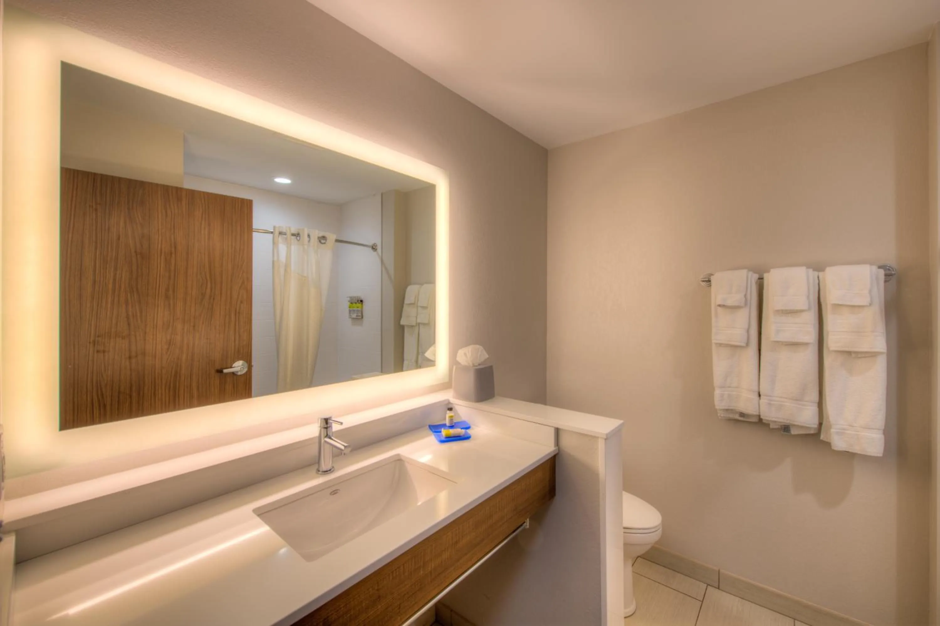 Bathroom in Holiday Inn Express & Suites - Remington by IHG