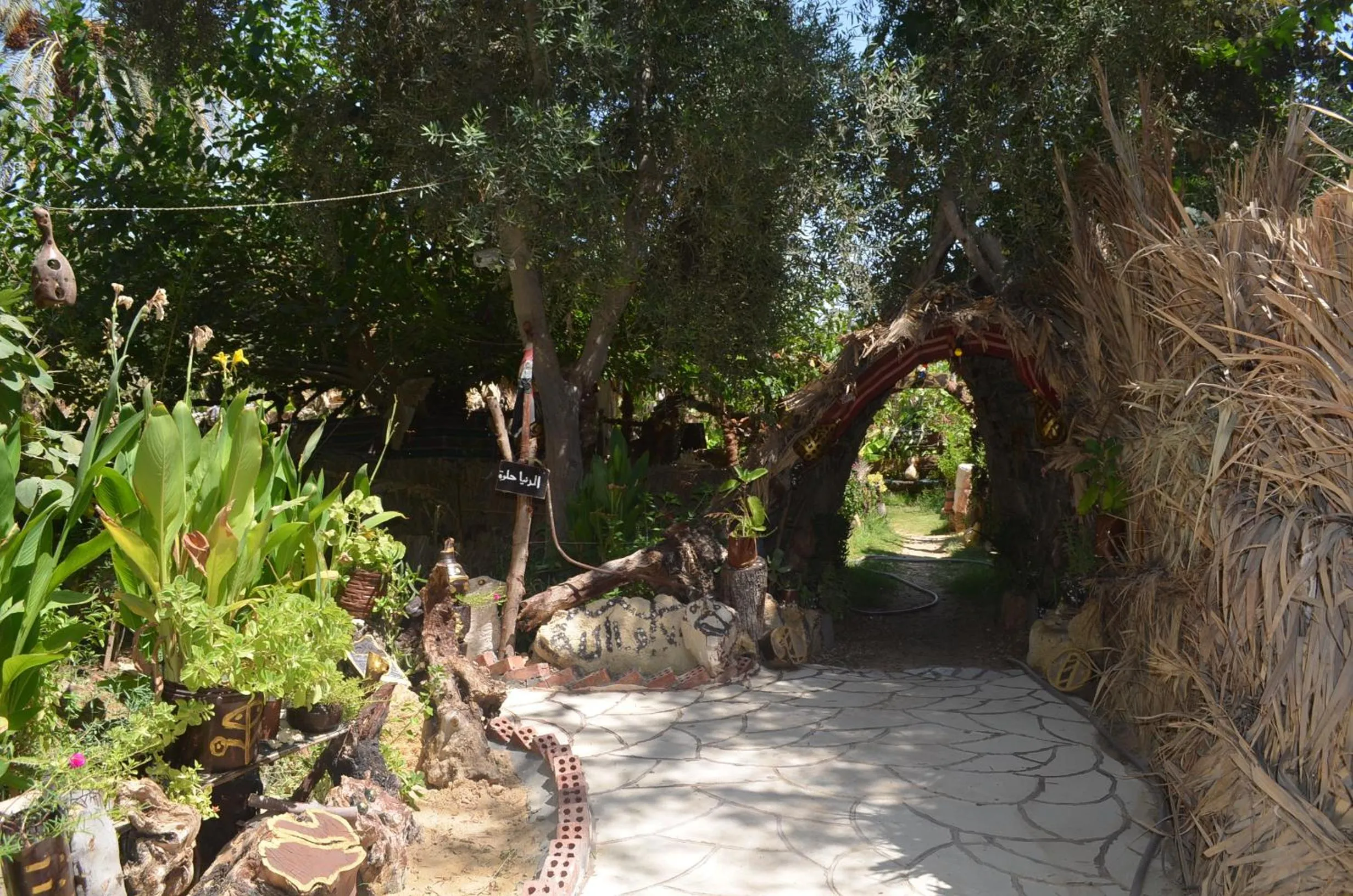 Mountain Camp Ali Khaled