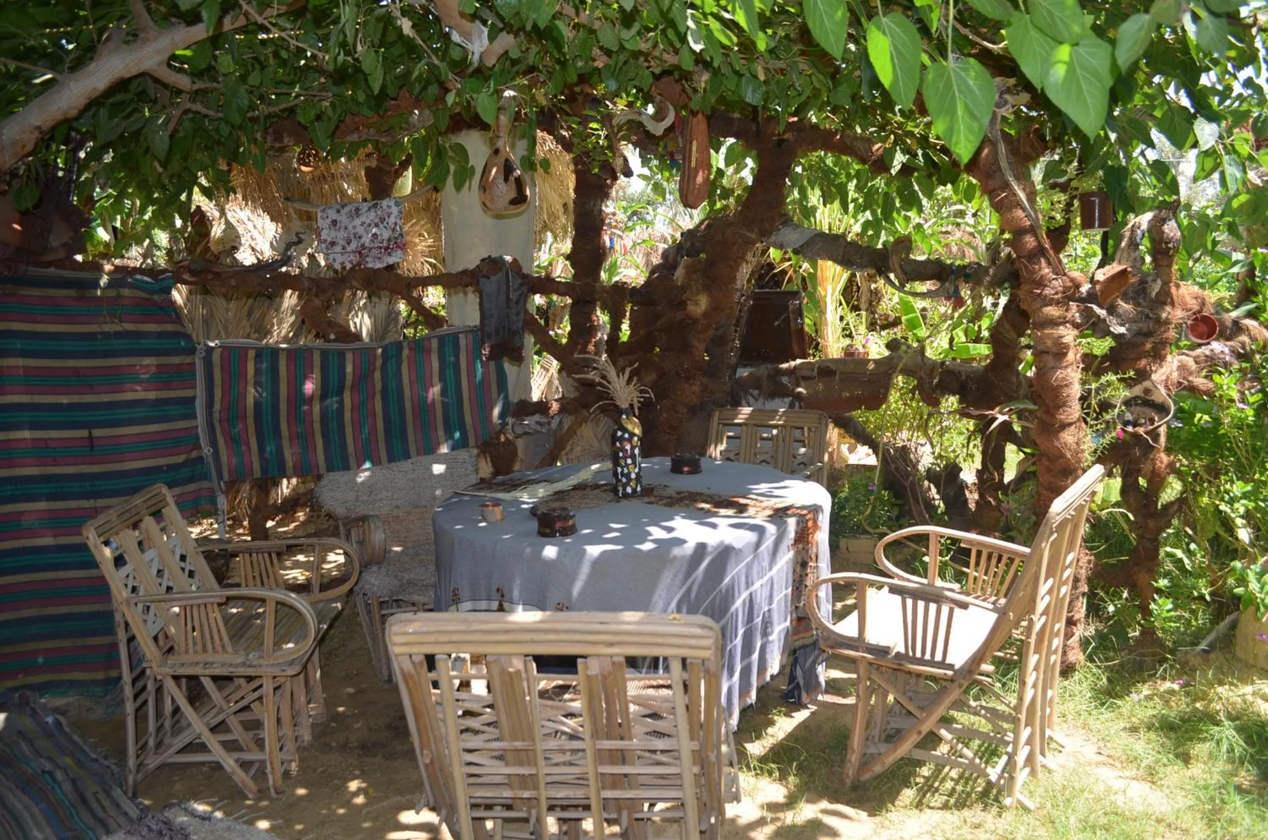 Garden view in Mountain Camp Ali Khaled