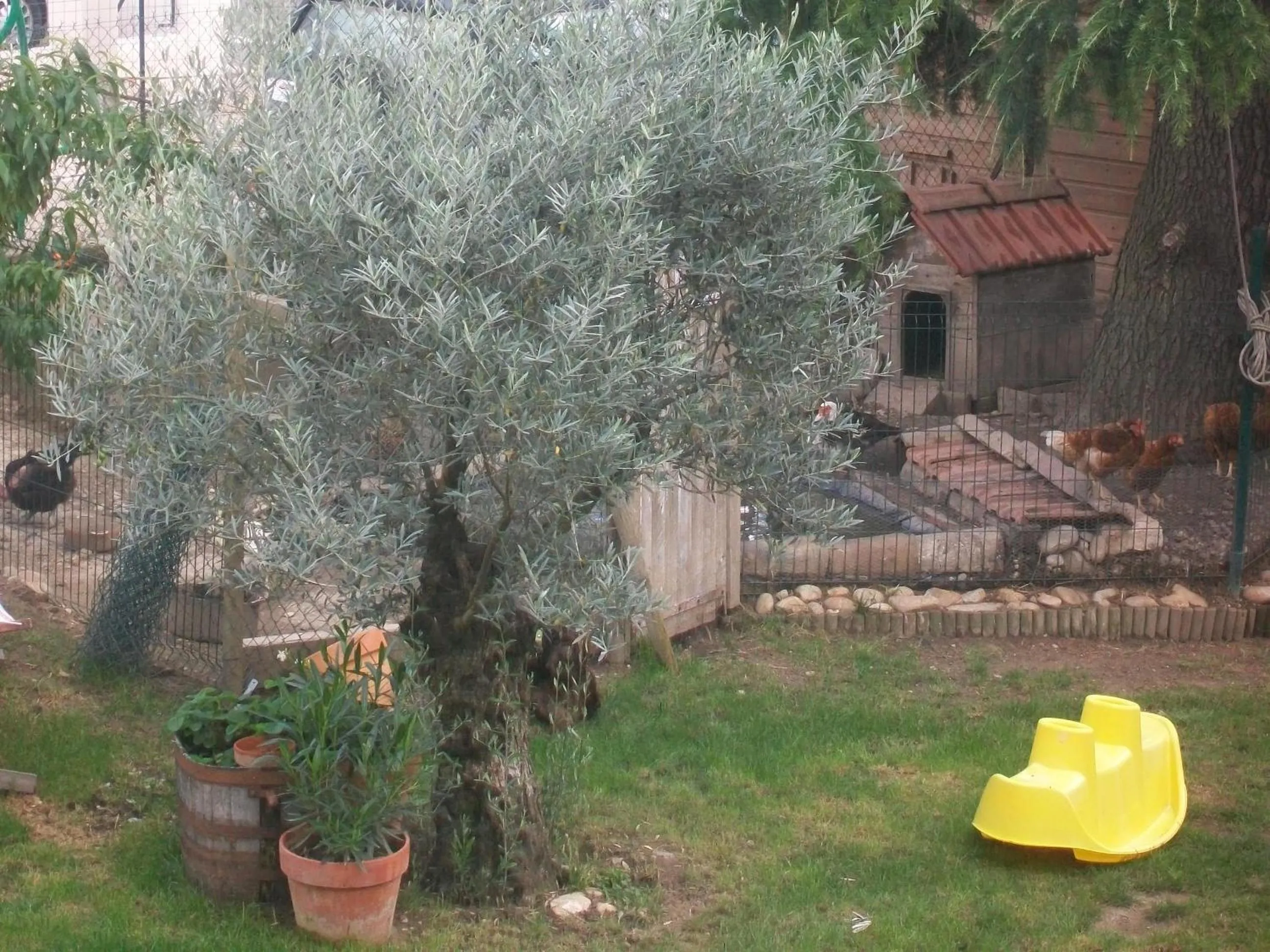 Garden in La Grange des Griottiers