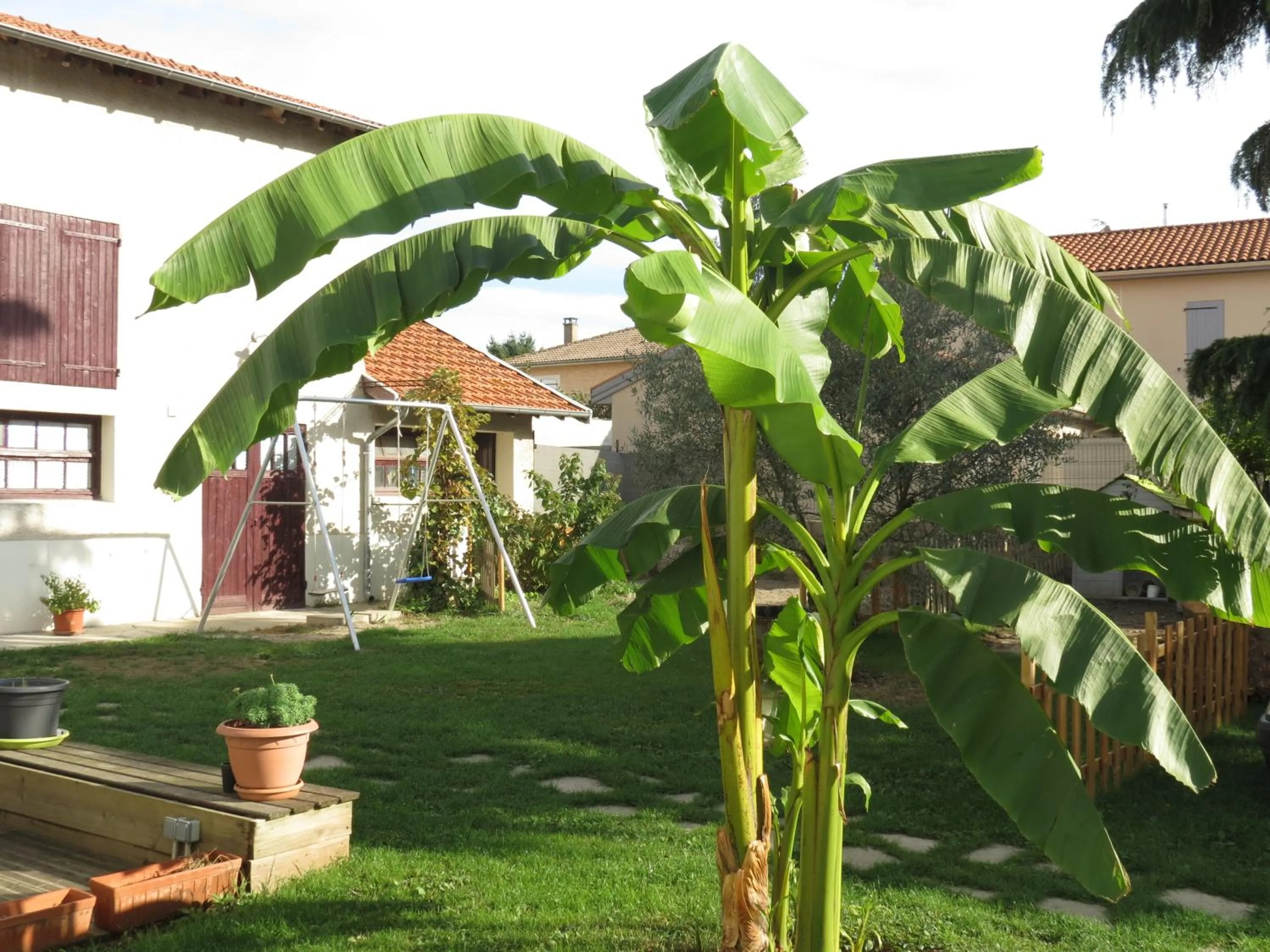 Garden in La Grange des Griottiers